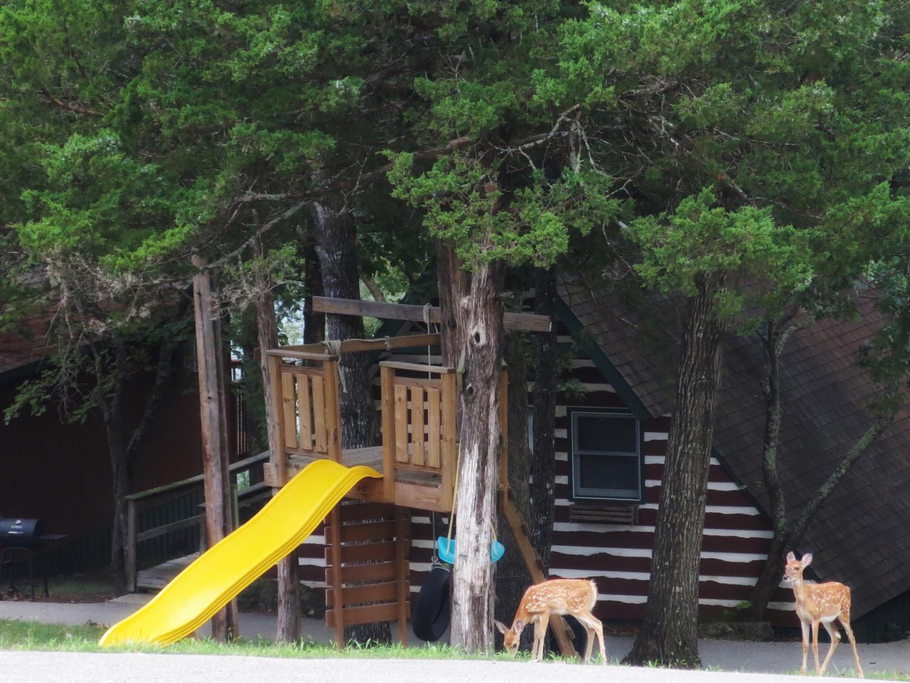 Calm Waters Resort