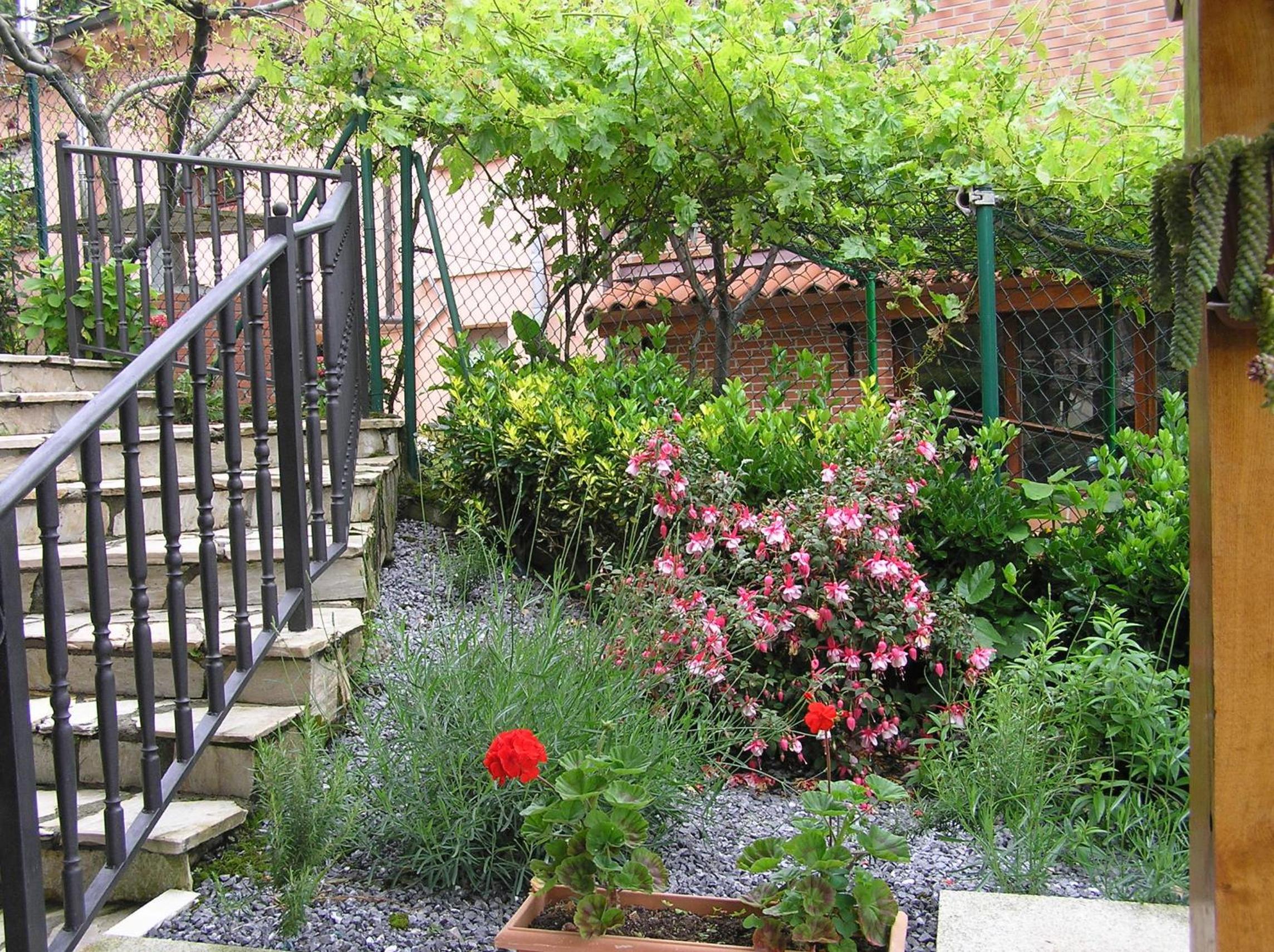 Photo 27