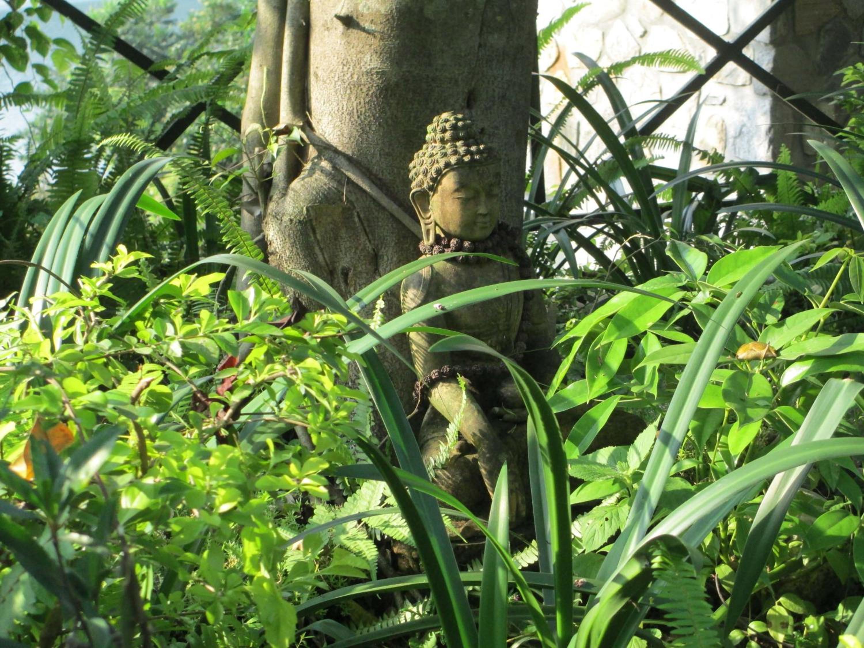 The Begnas Lake Resort & Villas