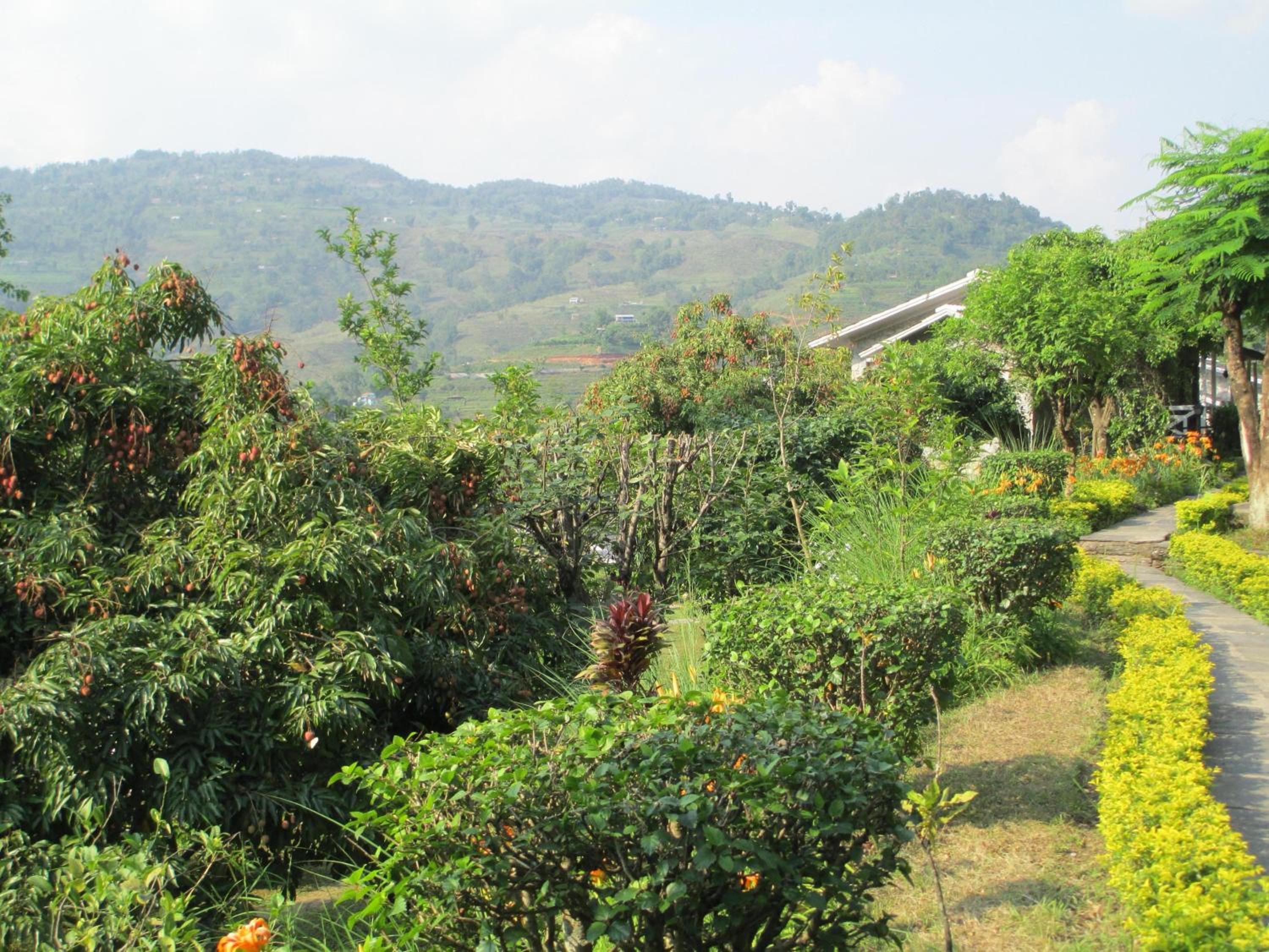 The Begnas Lake Resort & Villas