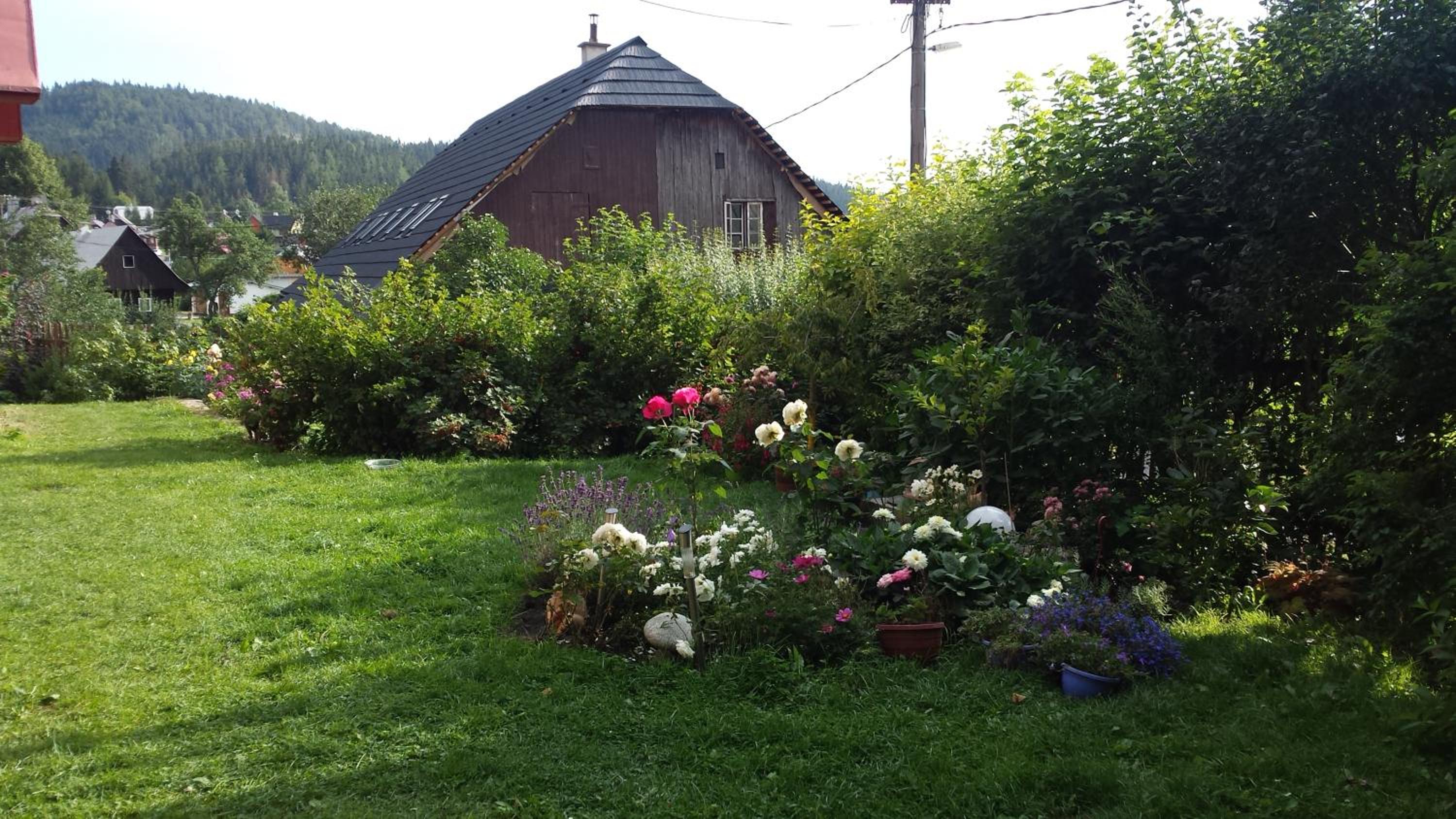 Photo 28
