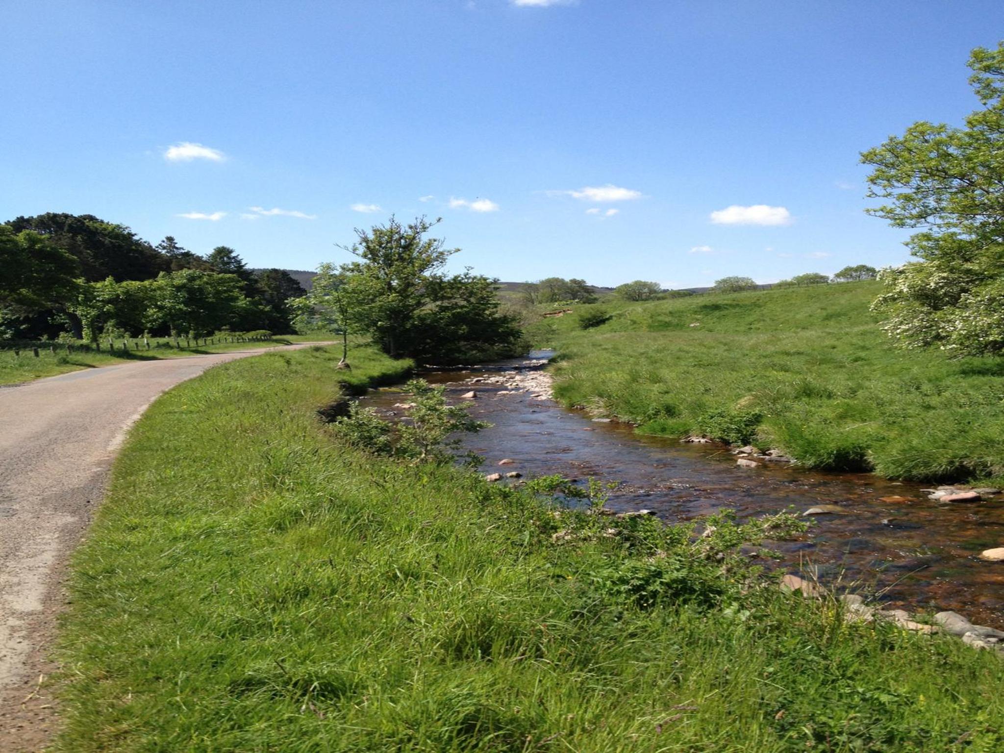 Photo 26
