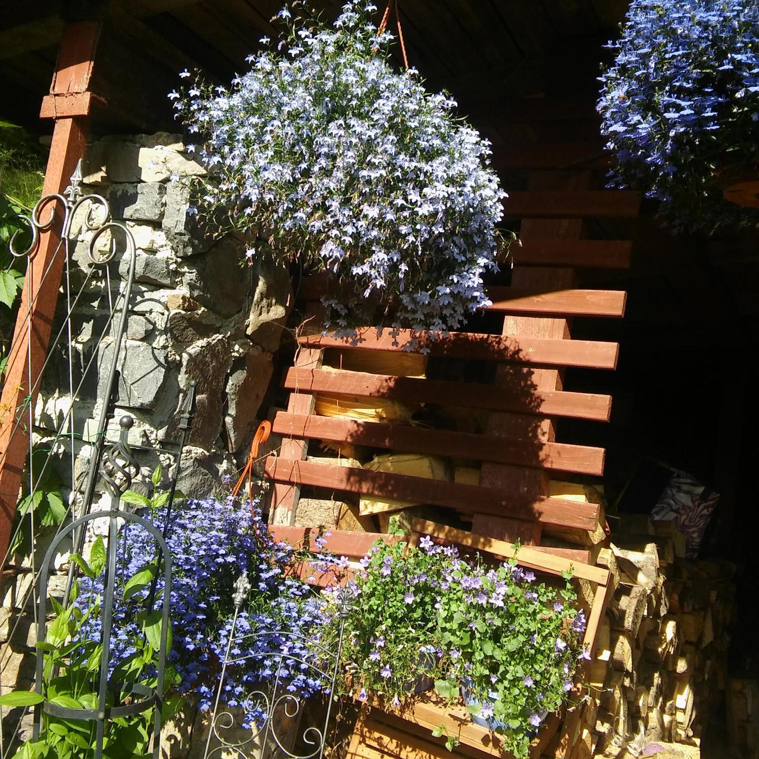 Photo 31