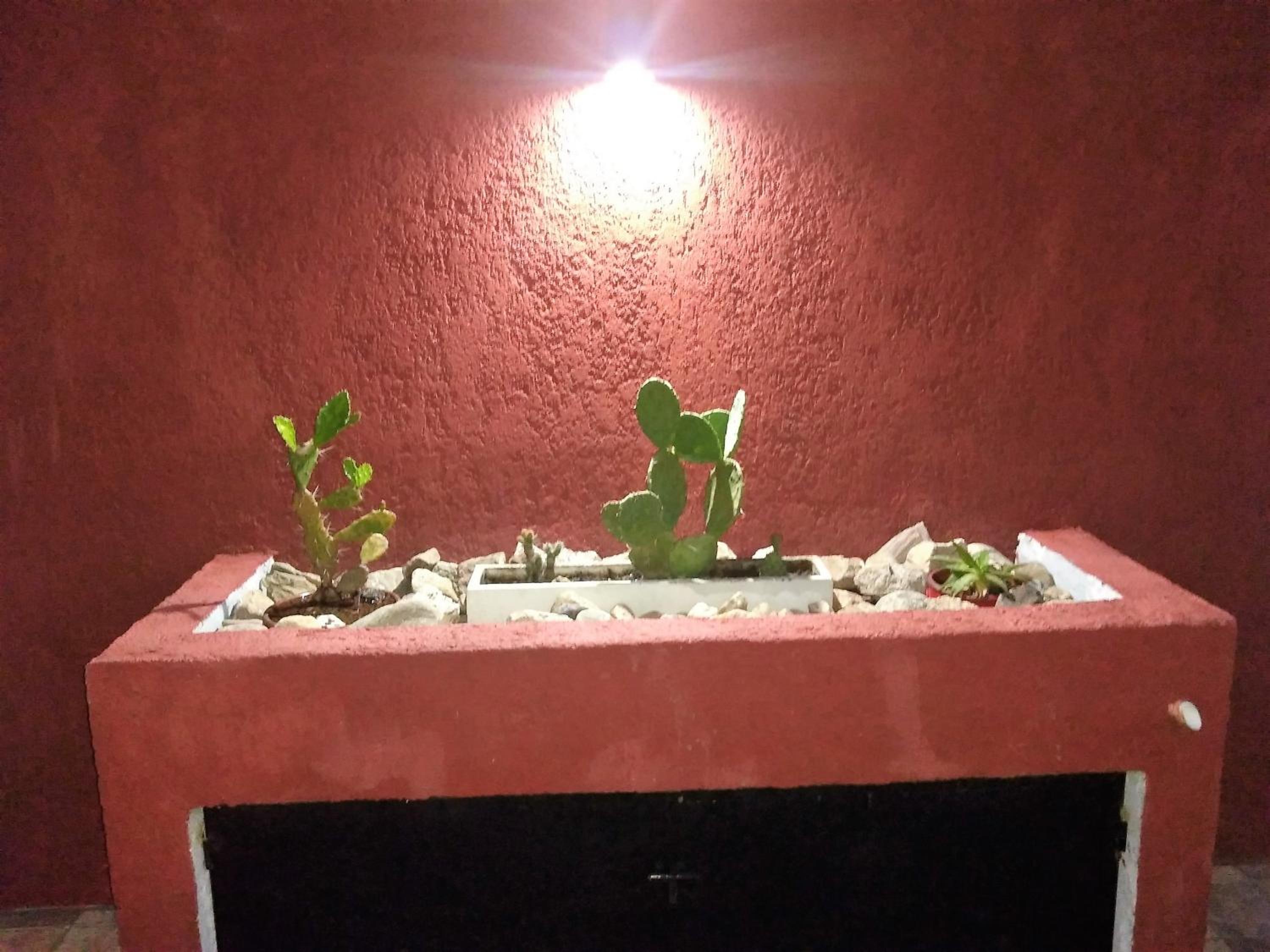 Encanto Puntano