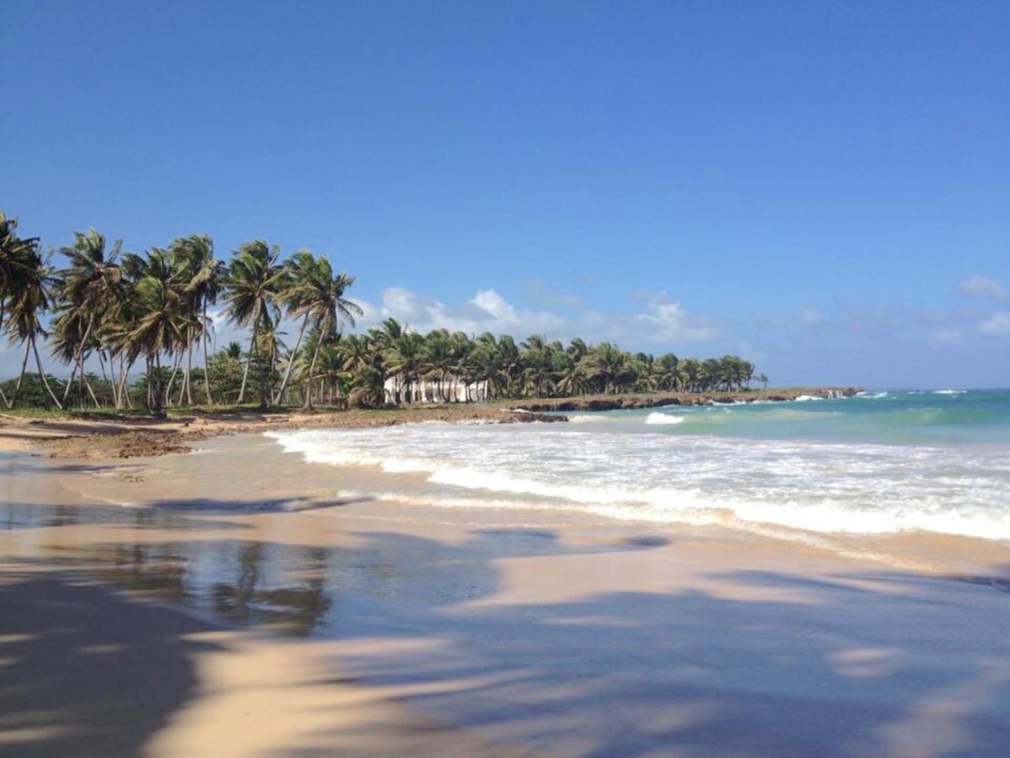 Baoba Breeze Bed & Breakfast- beachfront paradise