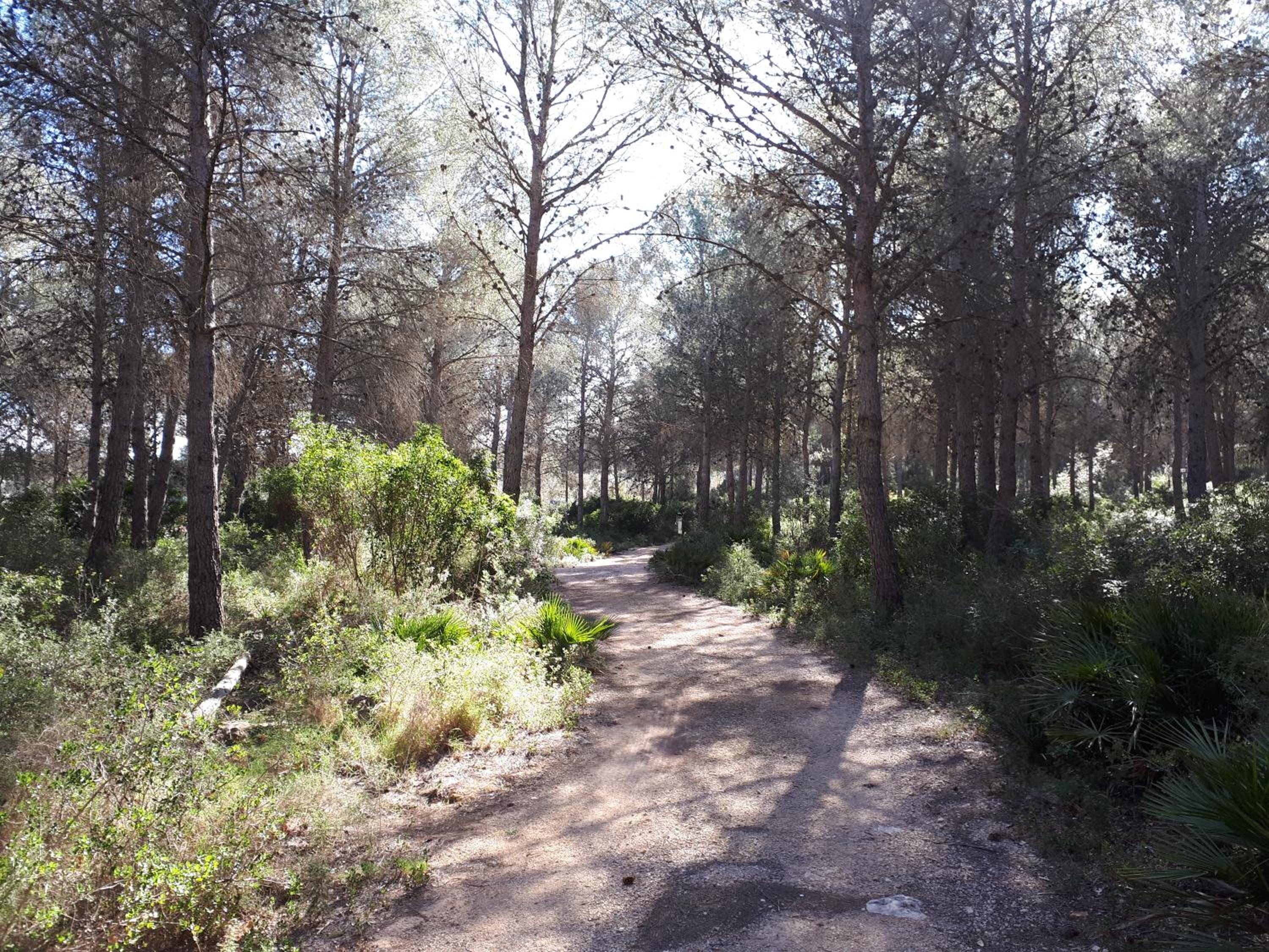 Photo 15
