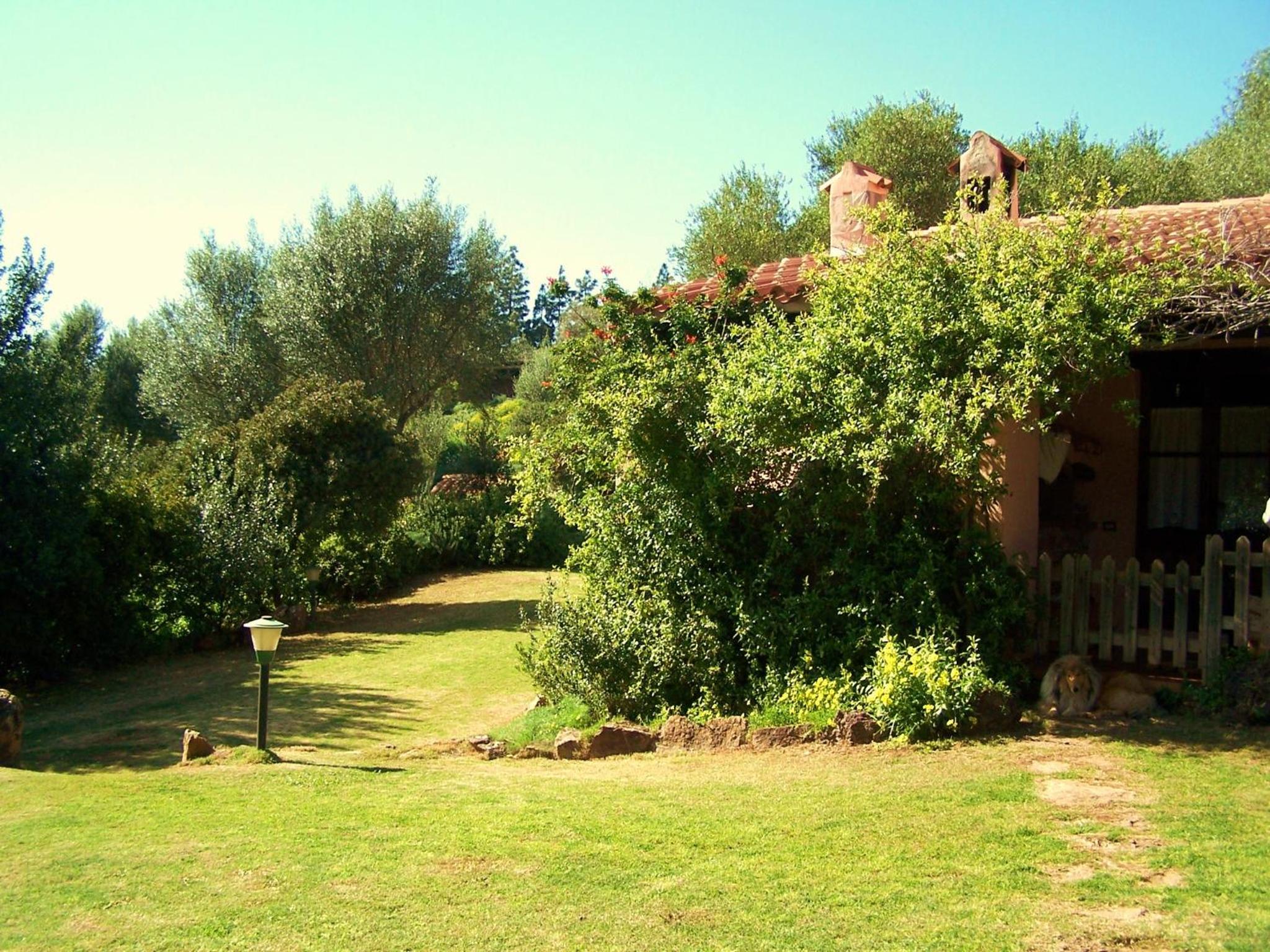 Photo 32