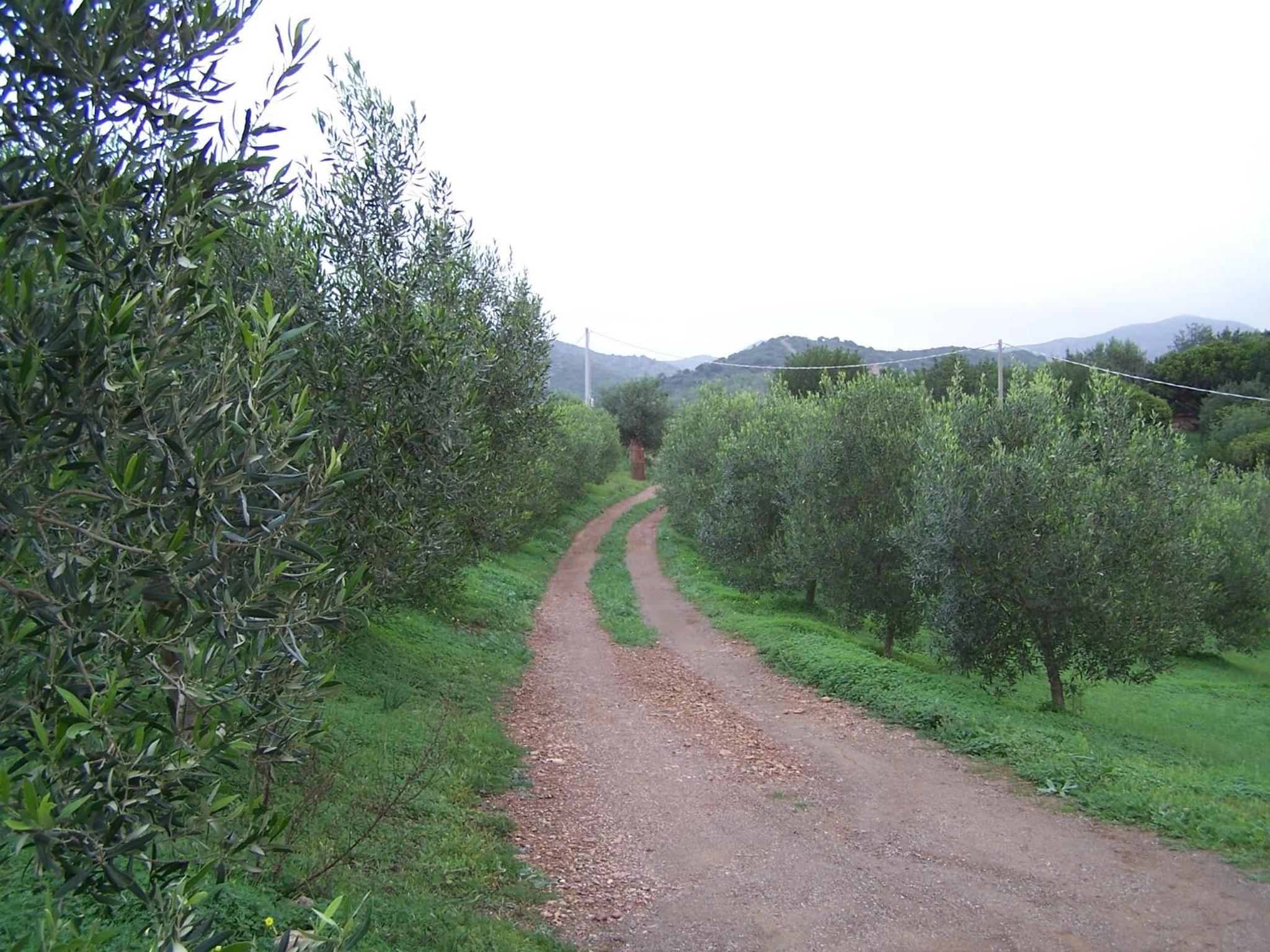 Photo 40