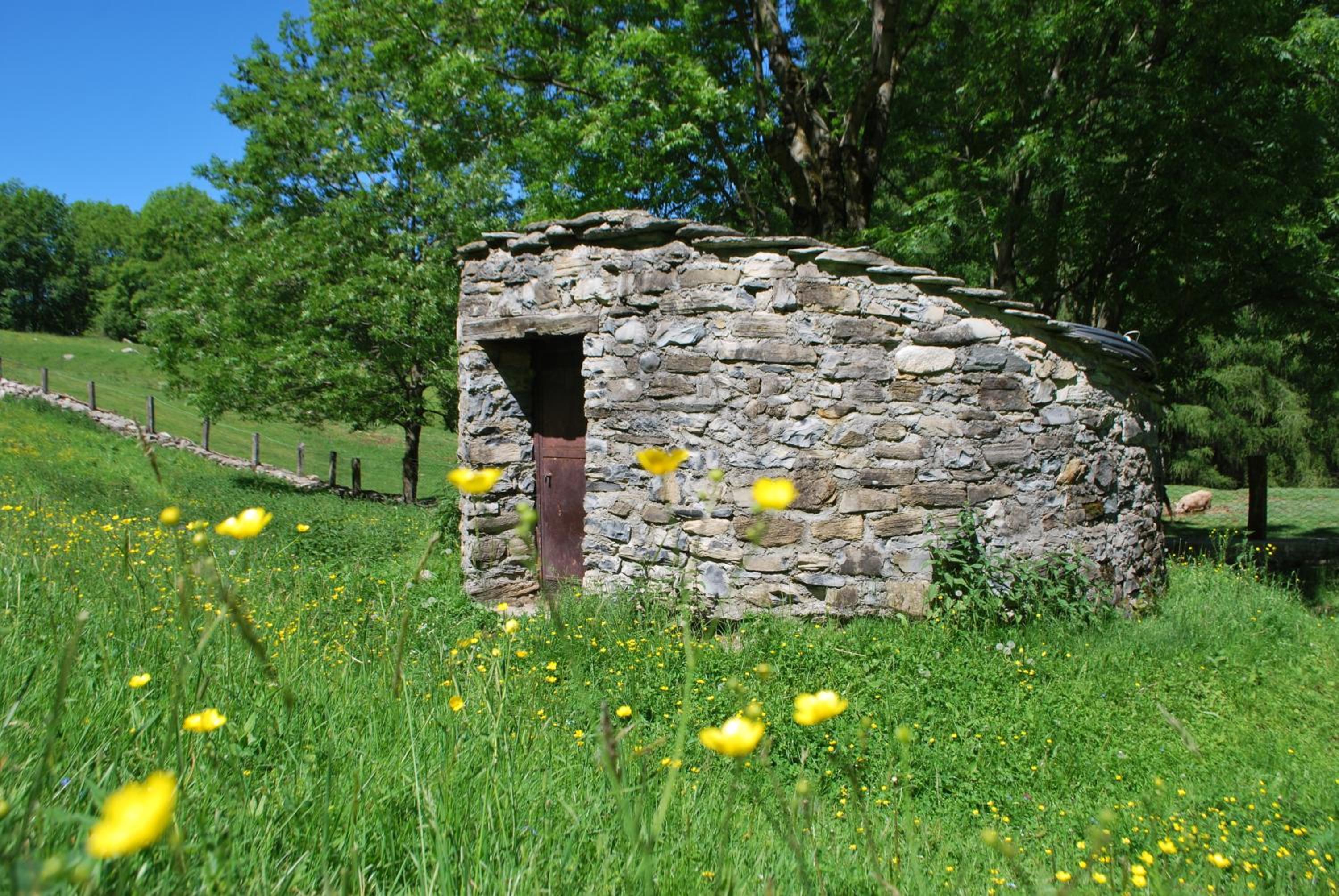 Agriturismo Le Radici