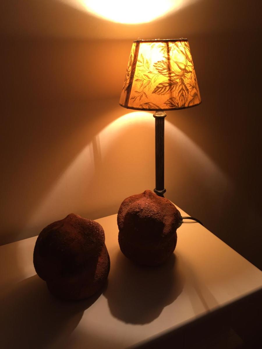 Logies De Meerkoet
