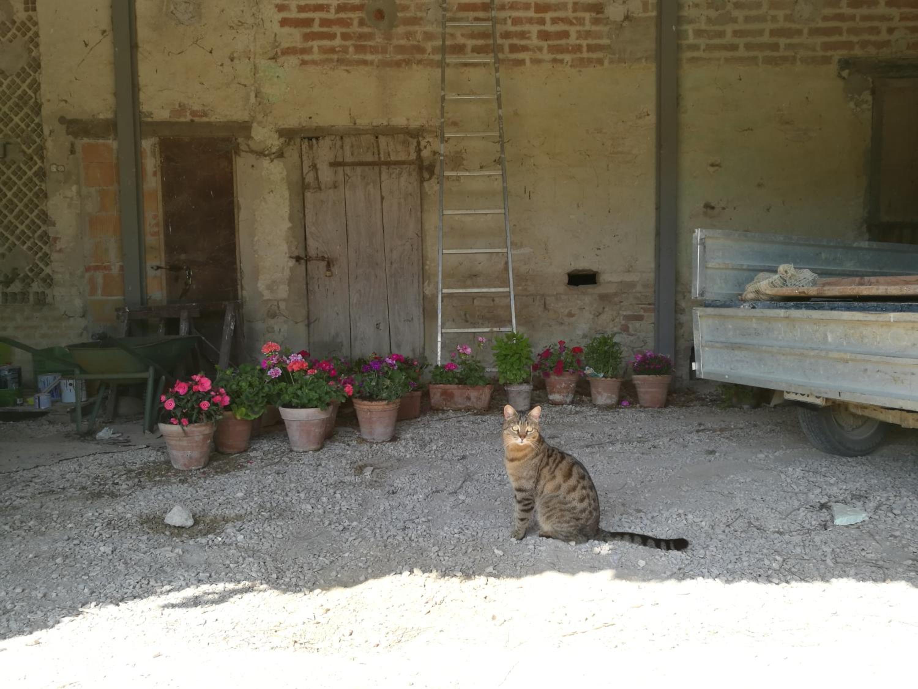 Photo 25