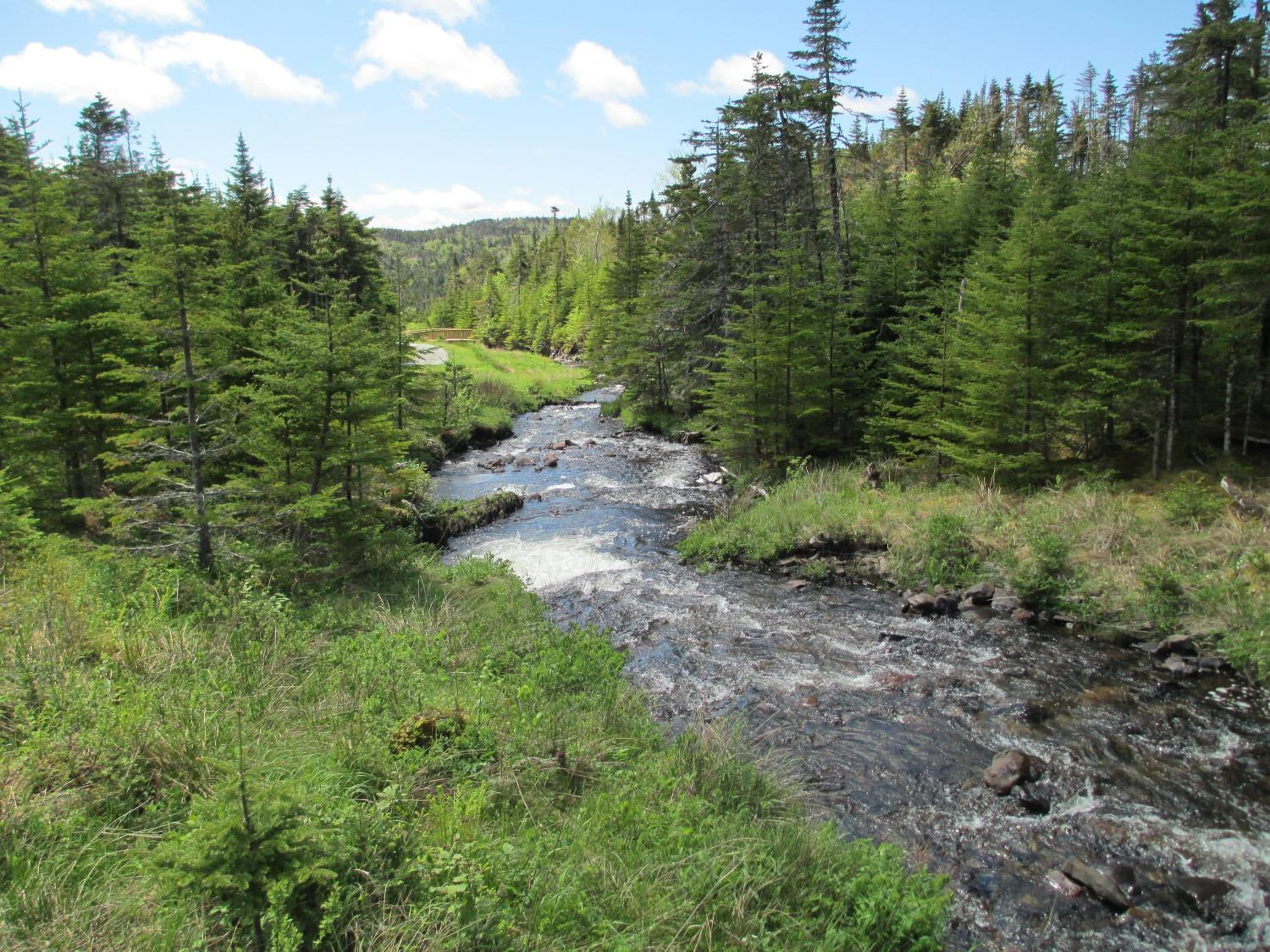 The Wilds at Salmonier River