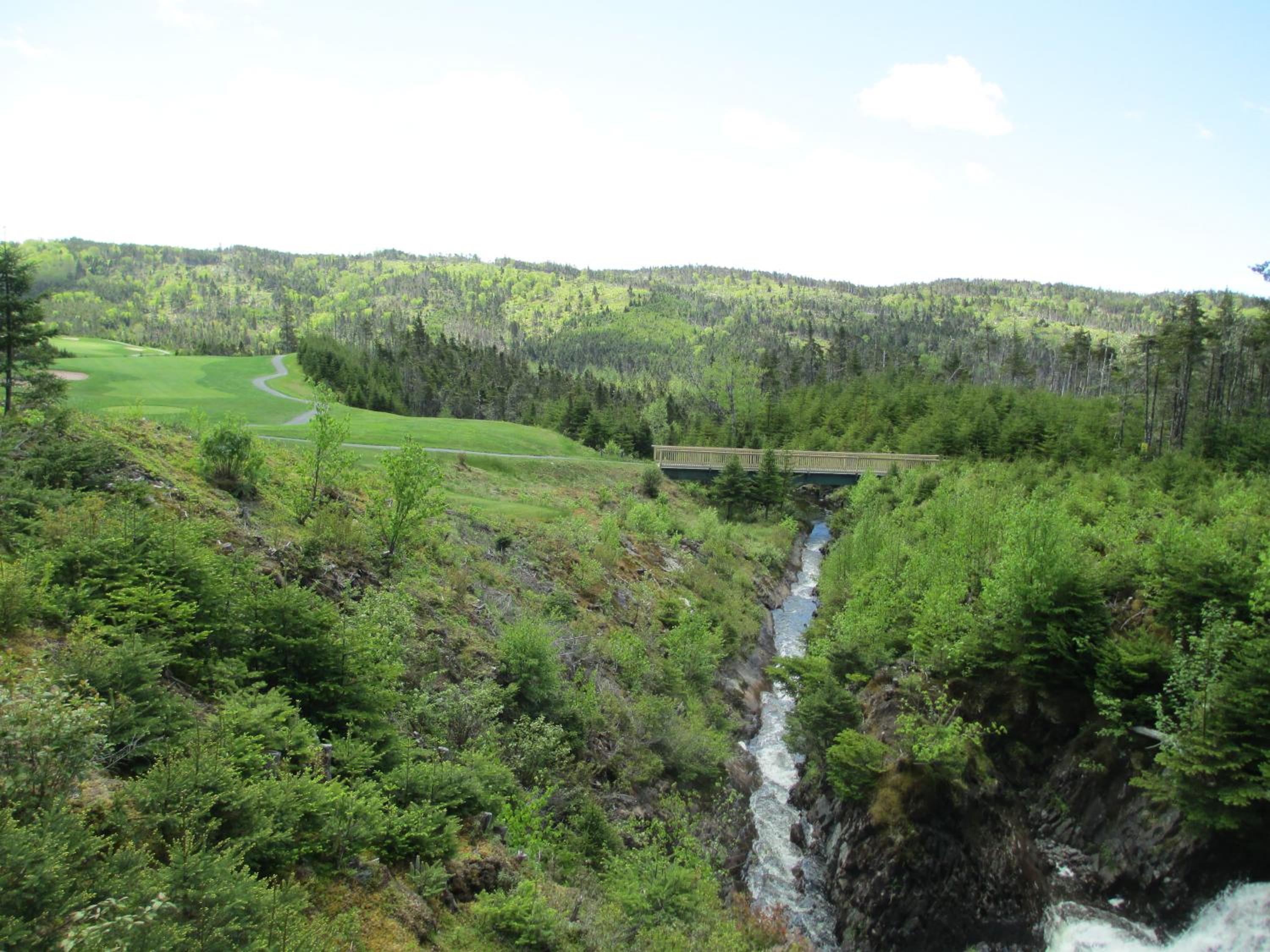 The Wilds at Salmonier River