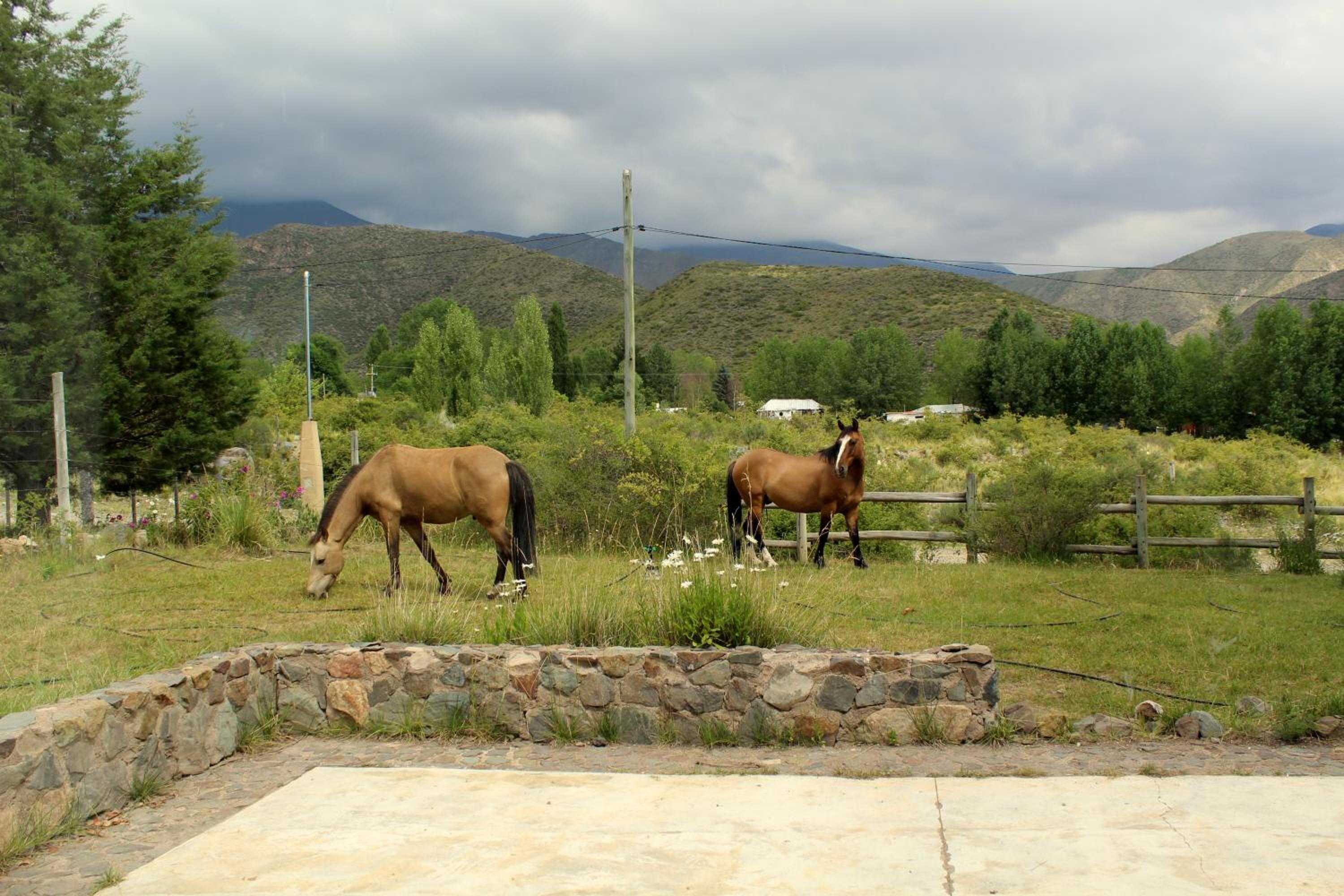 Casa de Piedra