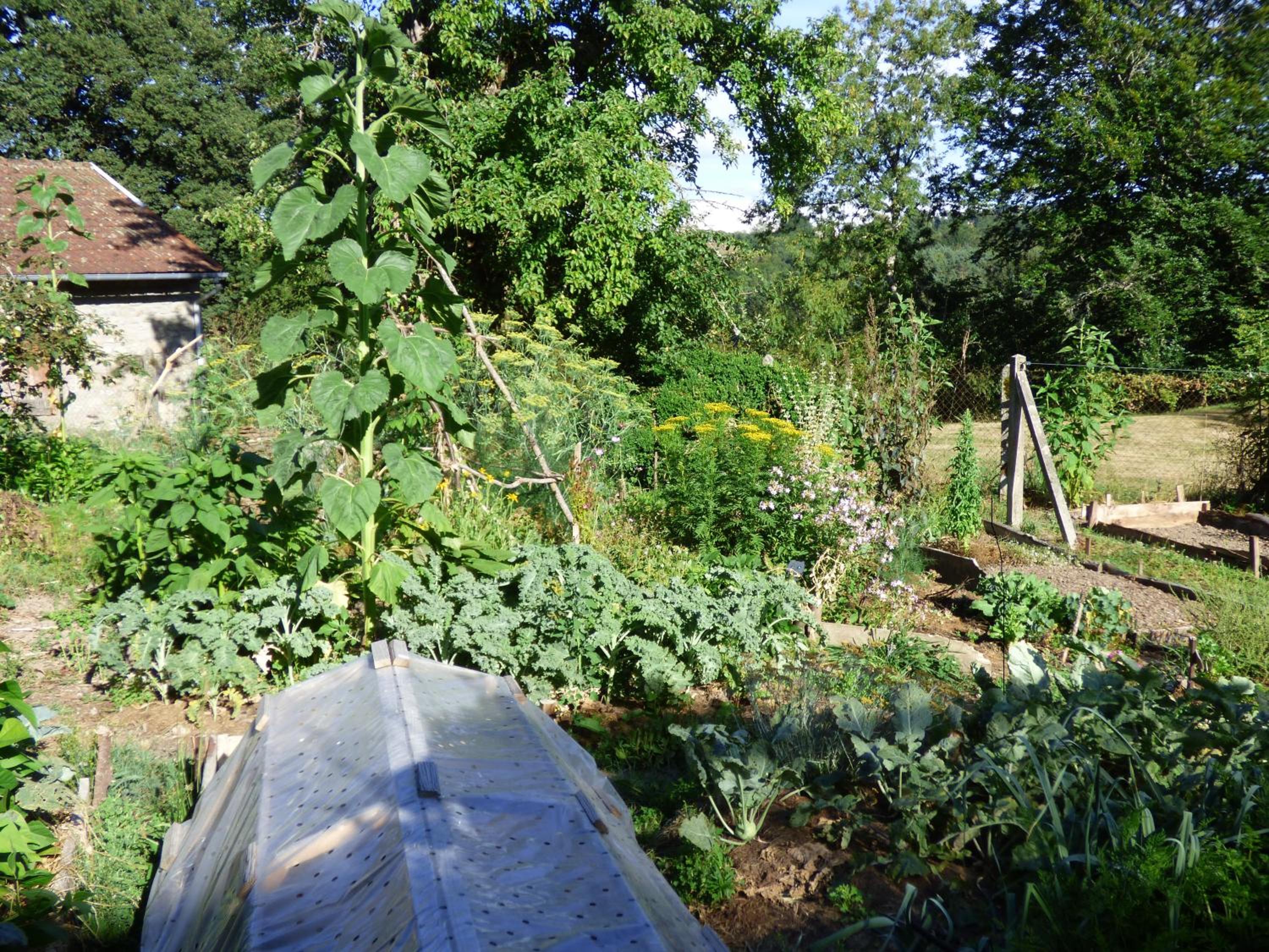 Photo 21