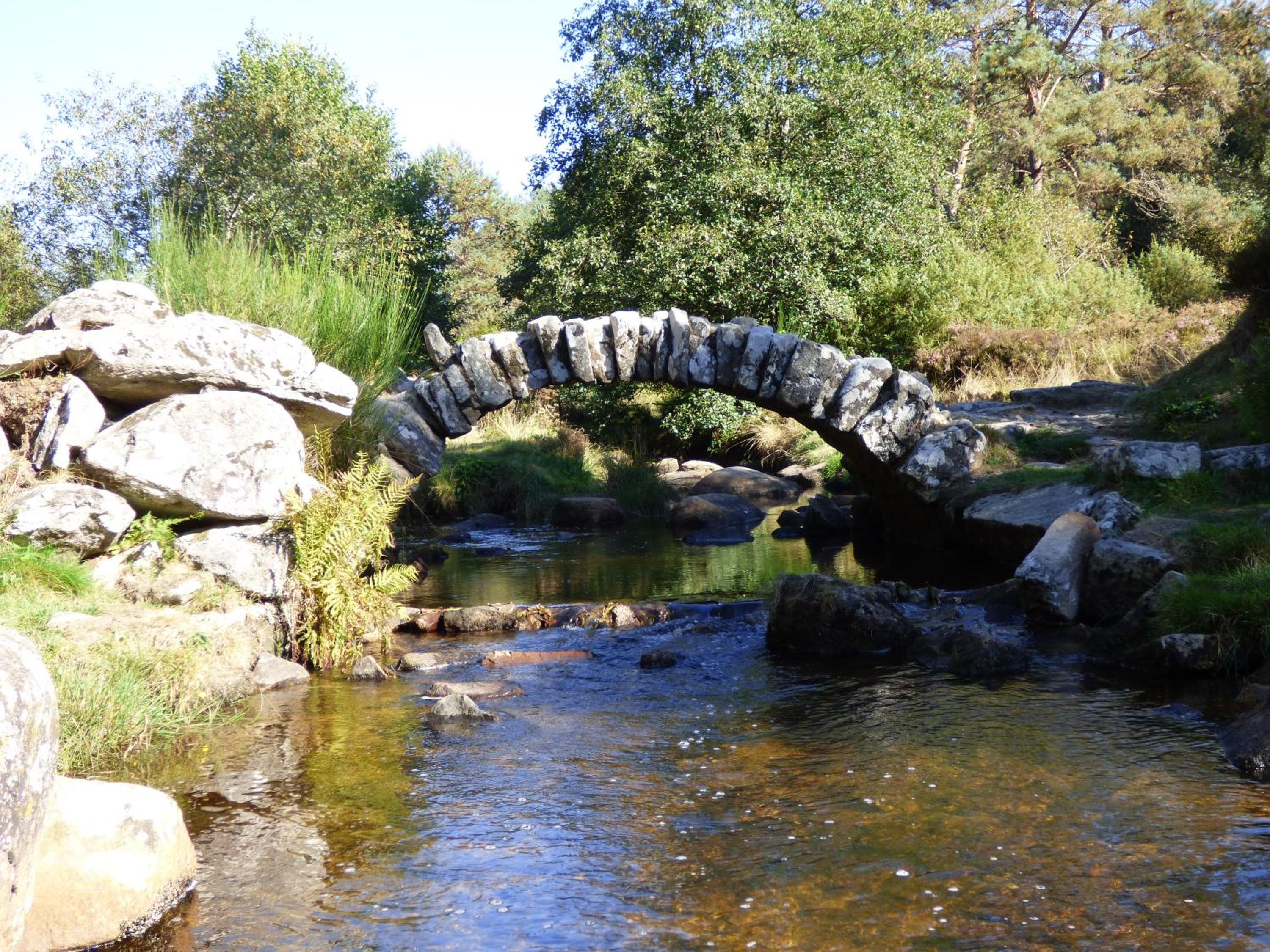 Photo 26