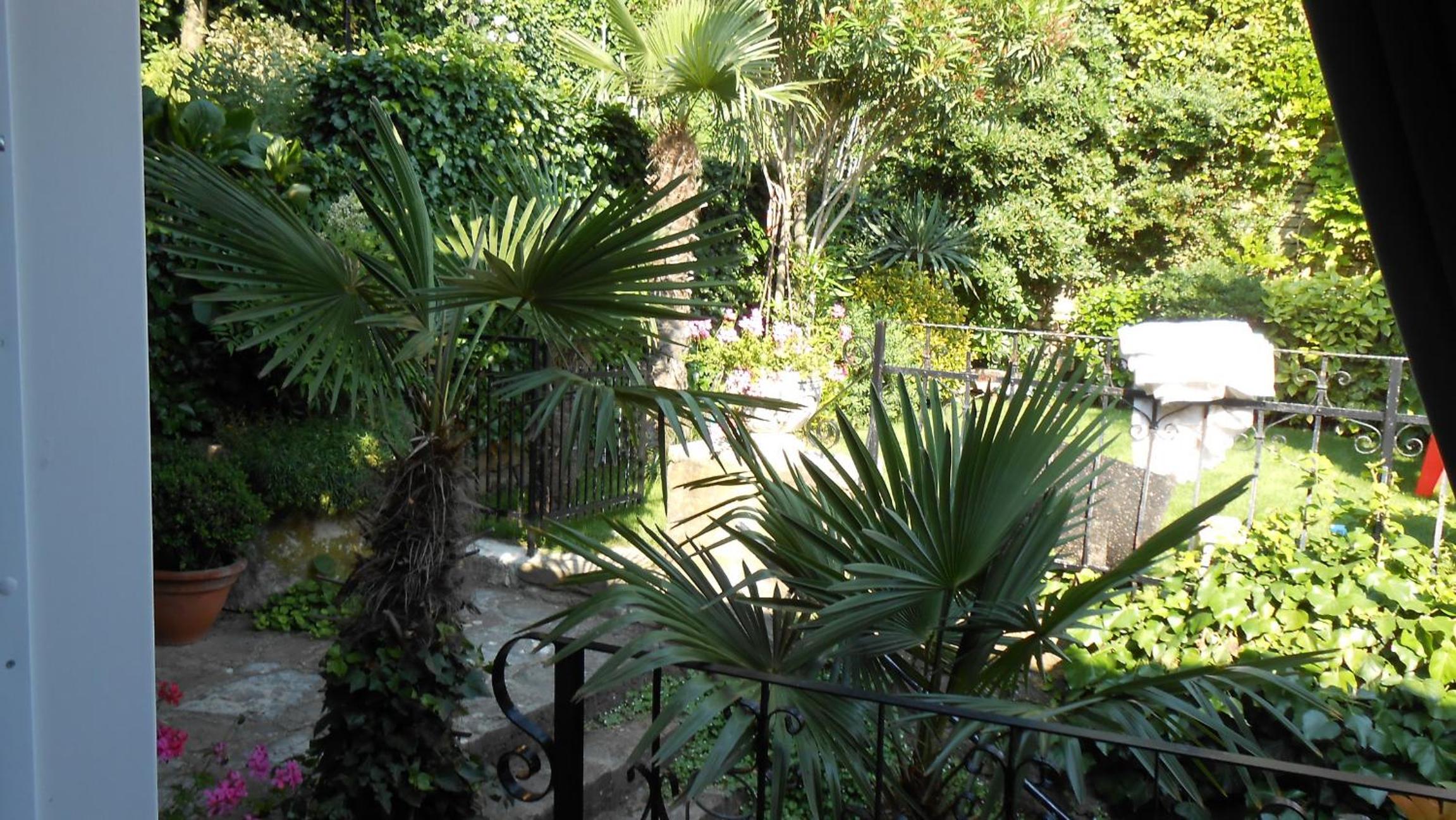 Photo 48
