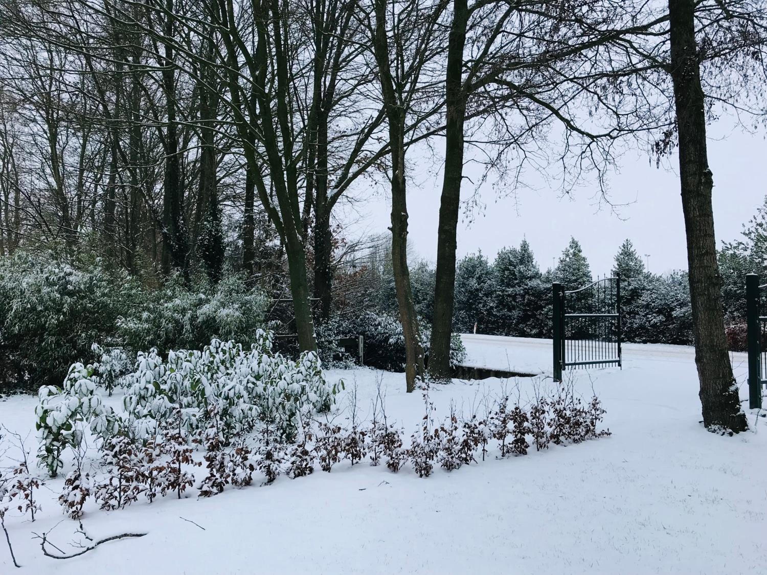 vakantiehuisje Zusje met eigen sauna view 5