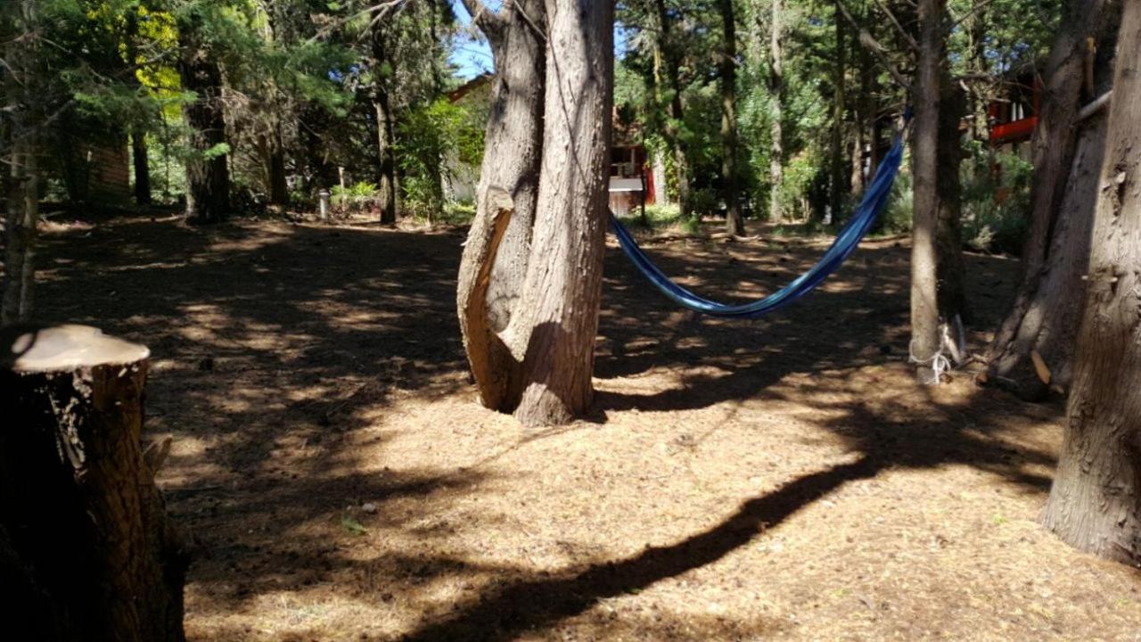 Losgumitas 2