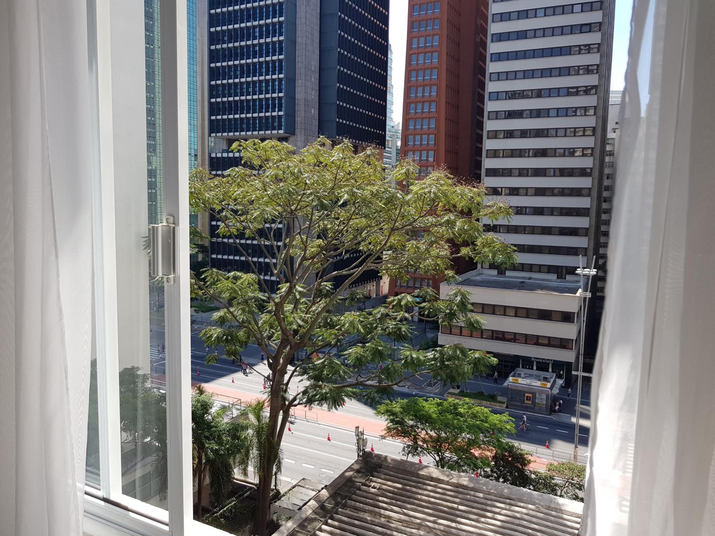 Av. Paulista Trianon MASP view 4