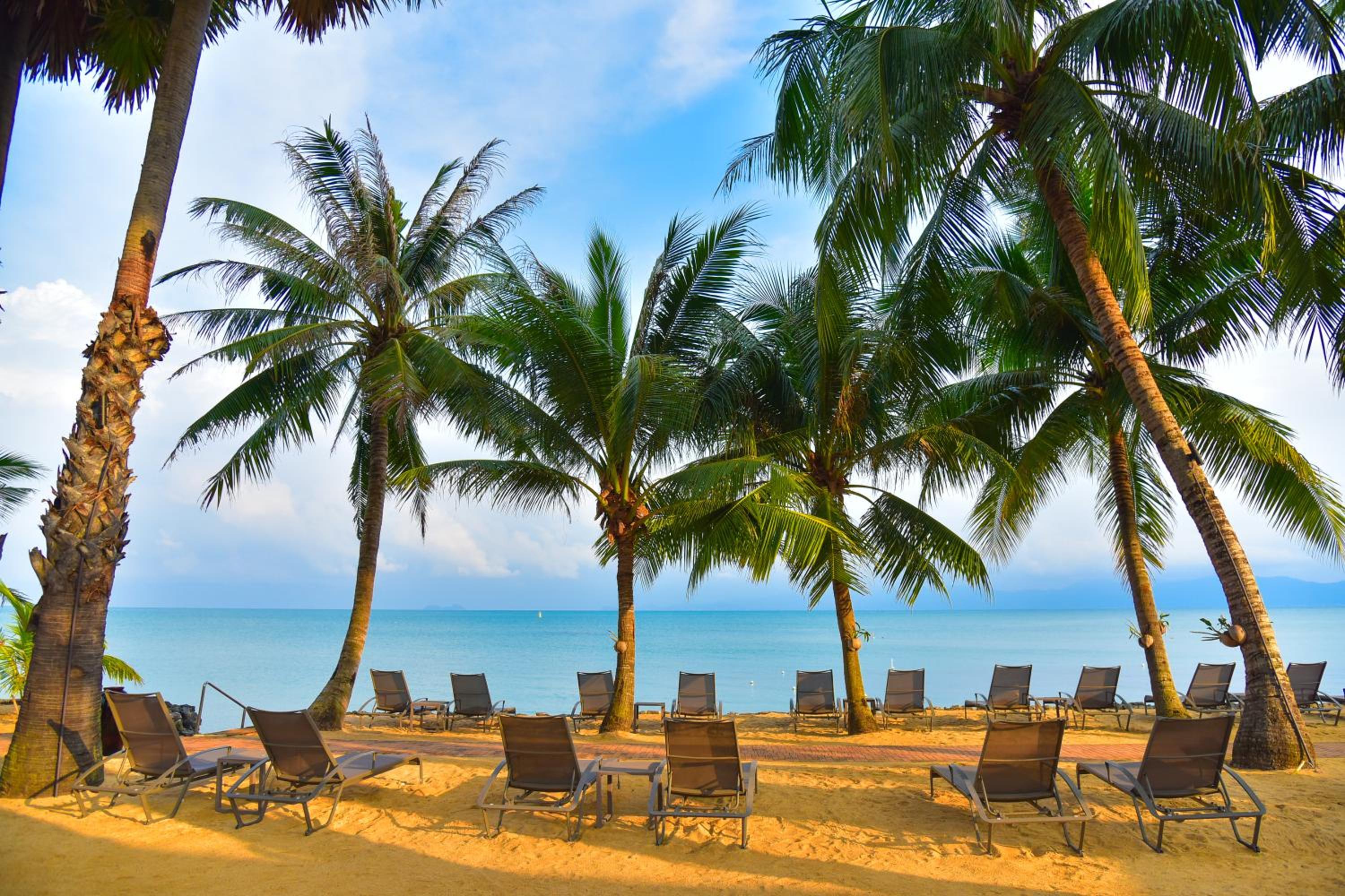 Paradise Beach Resort, Koh Samui — photo 74