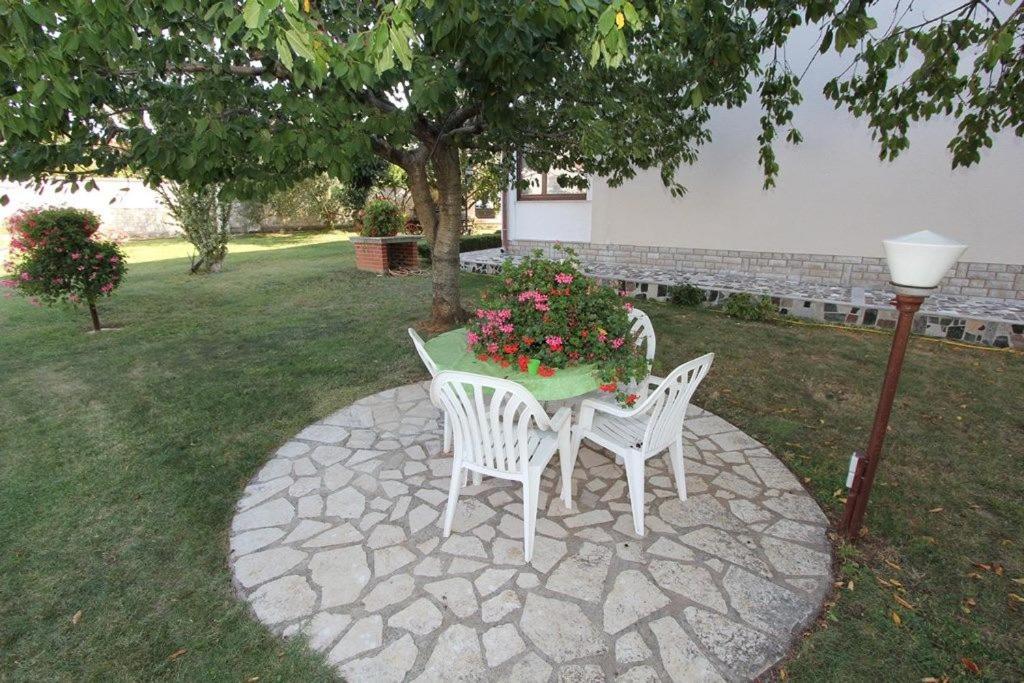 Apartments Ana Pomer view 4