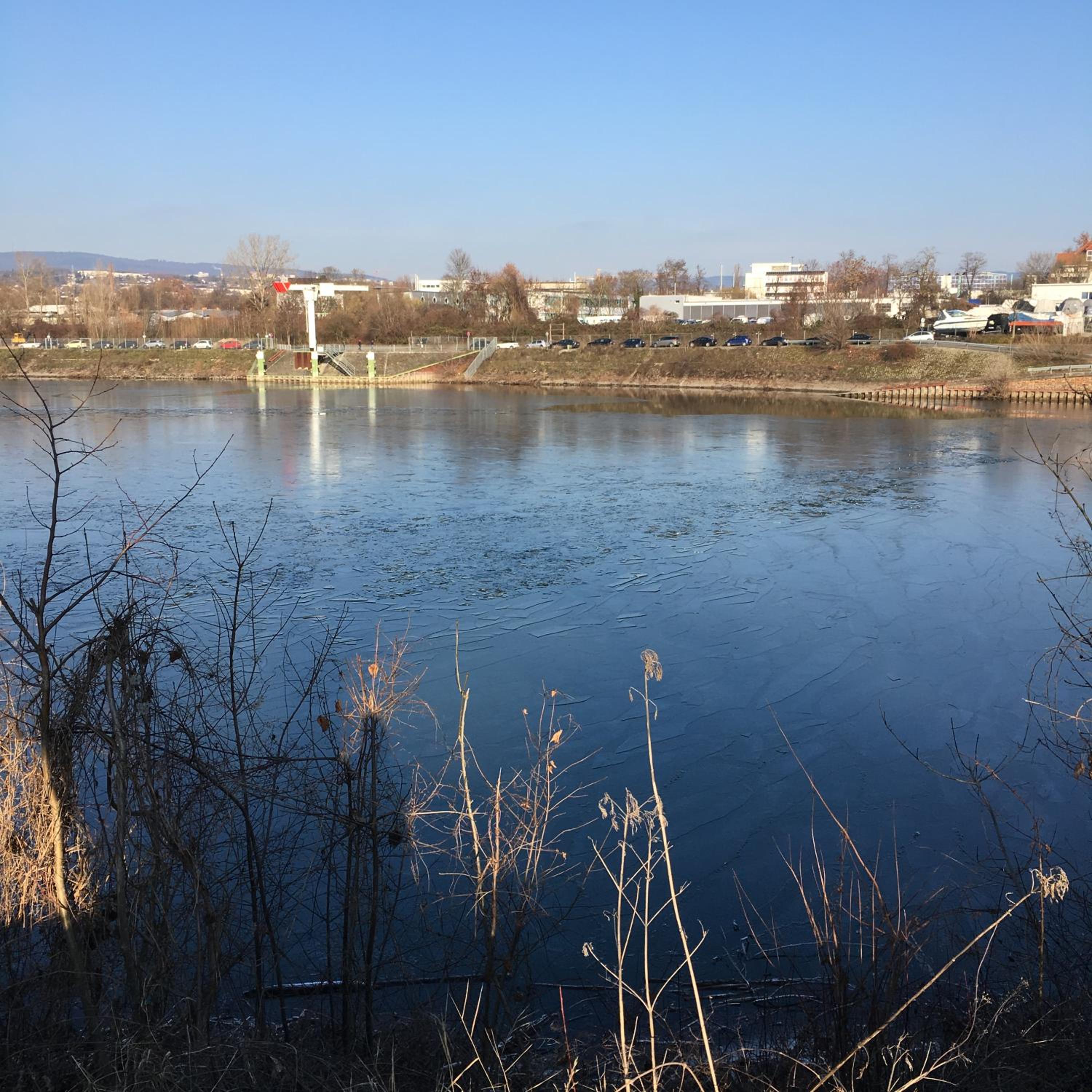 Photo 36
