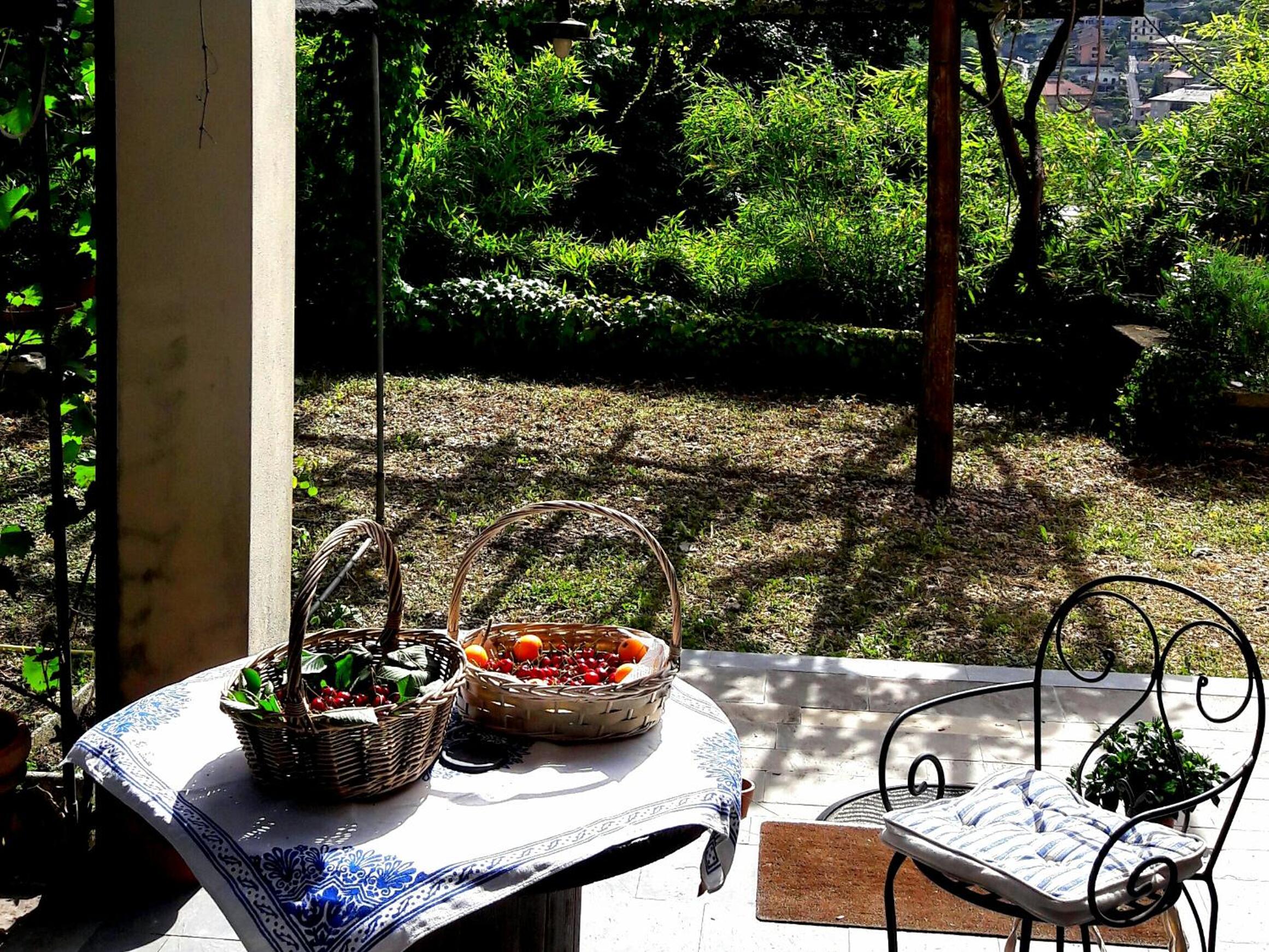 Photo 41