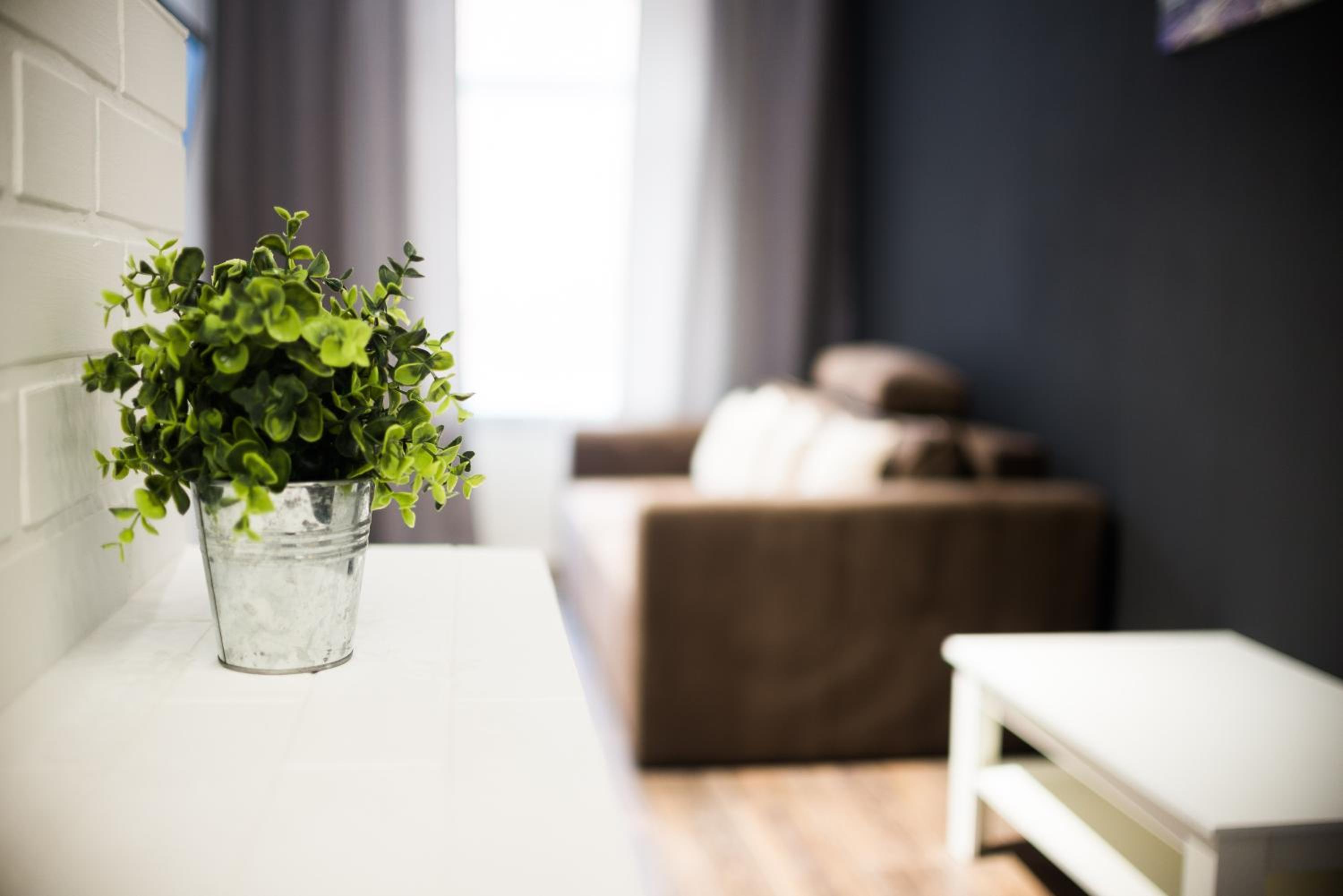 Modern apartment