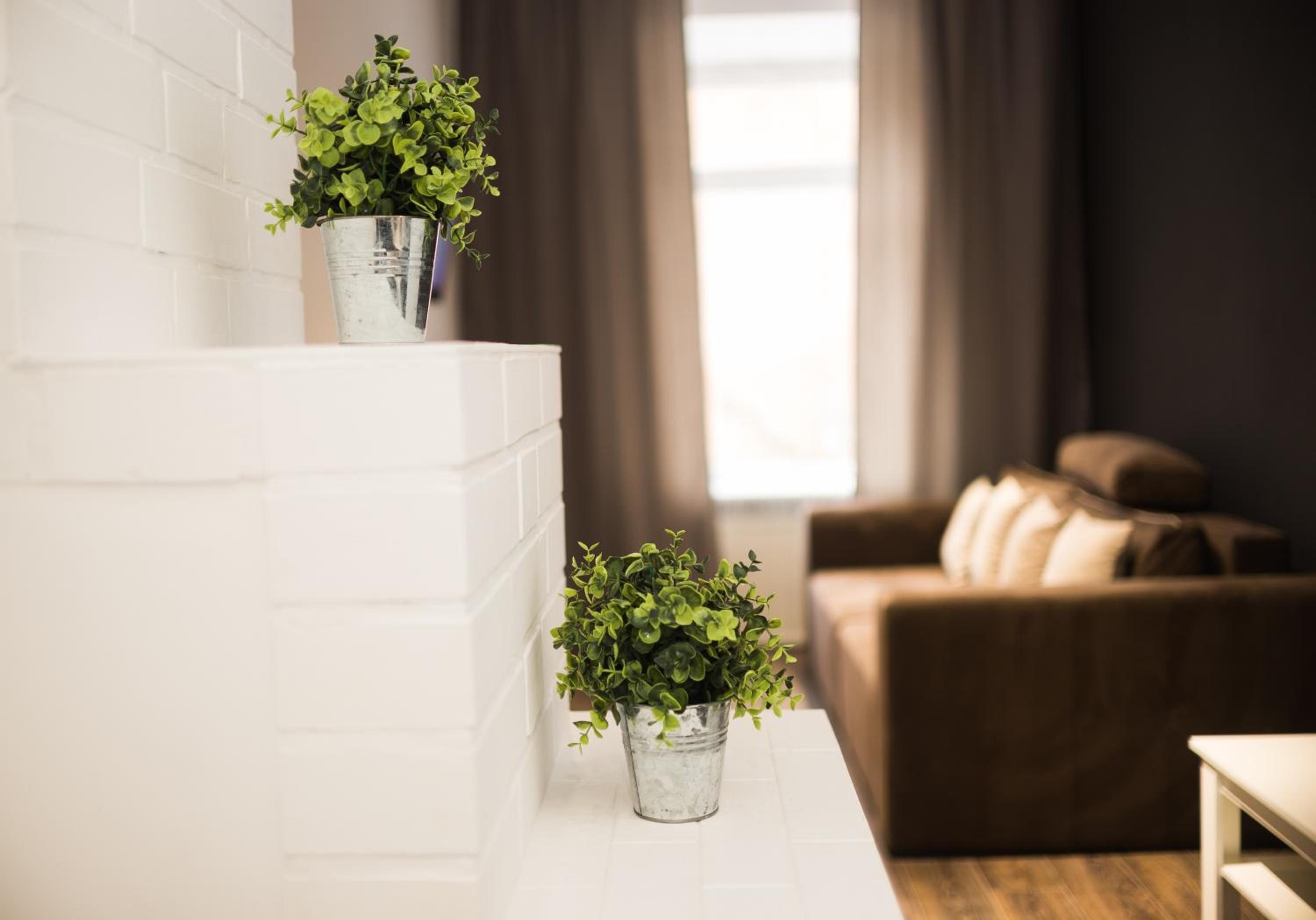 Modern apartment