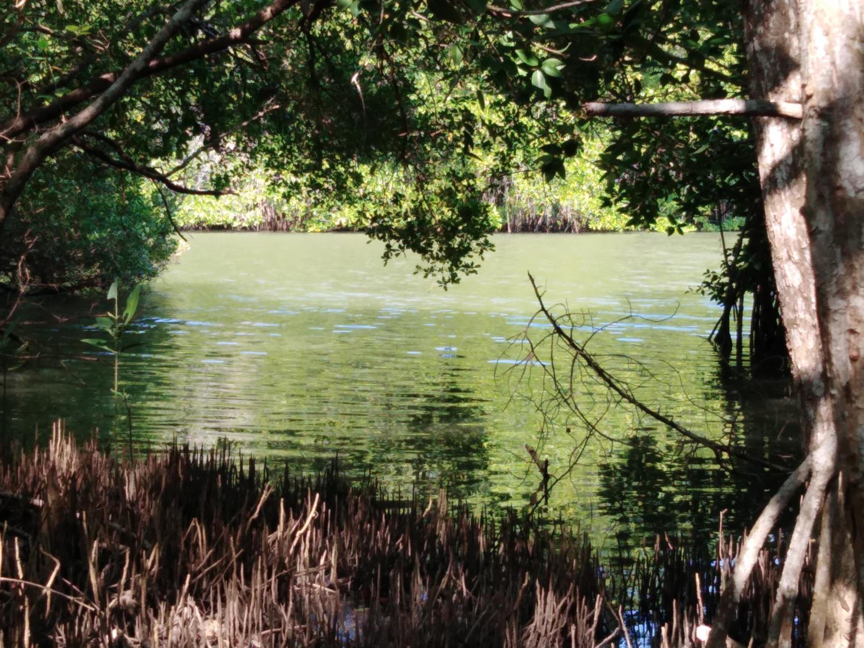 Photo 46