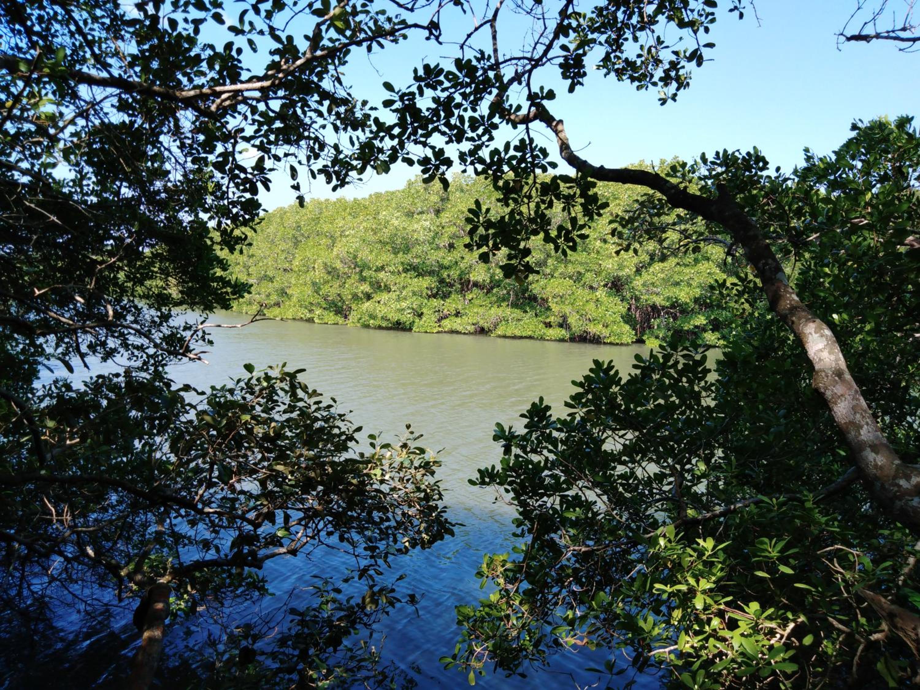 Photo 47
