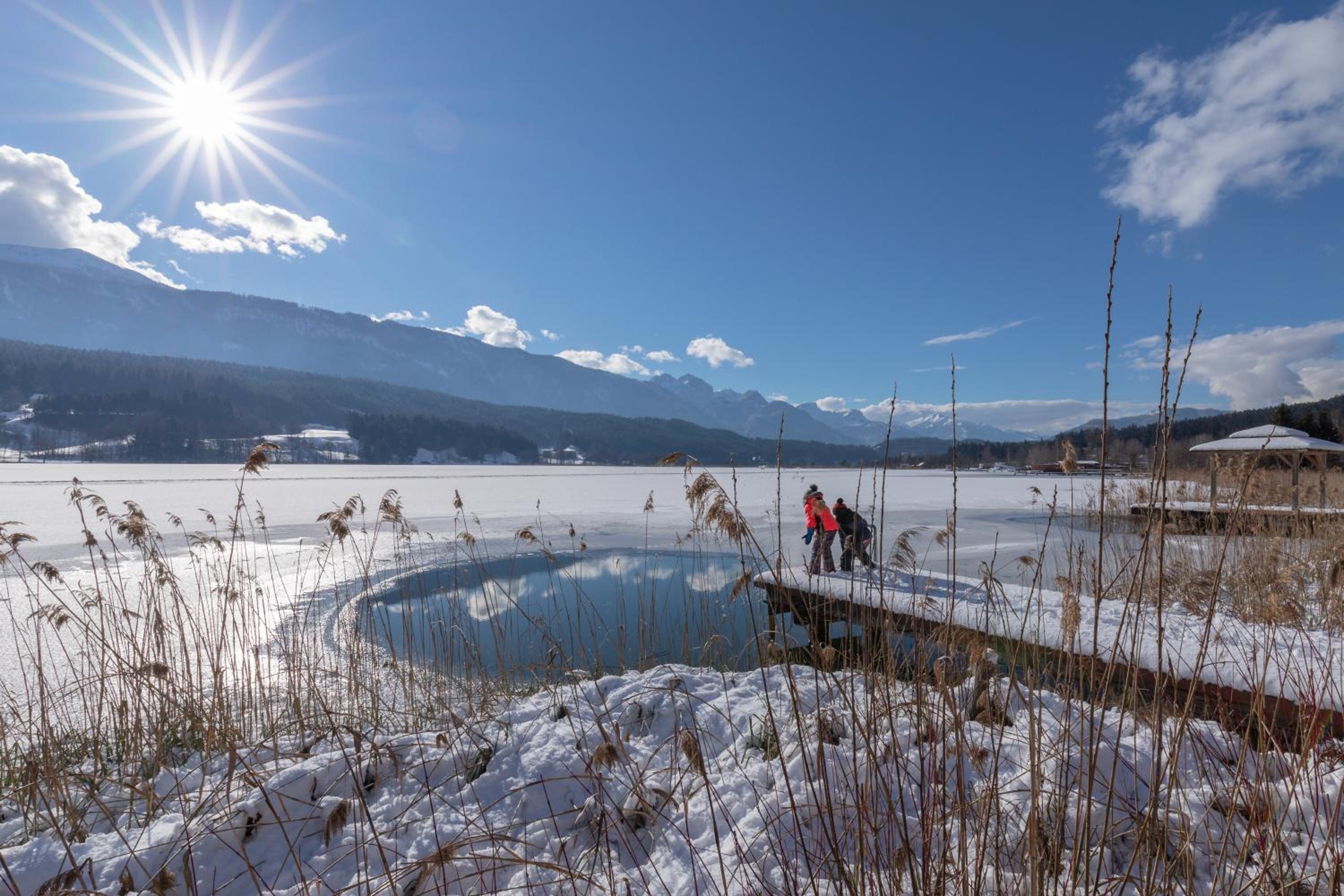 Lake Resort Pressegger See