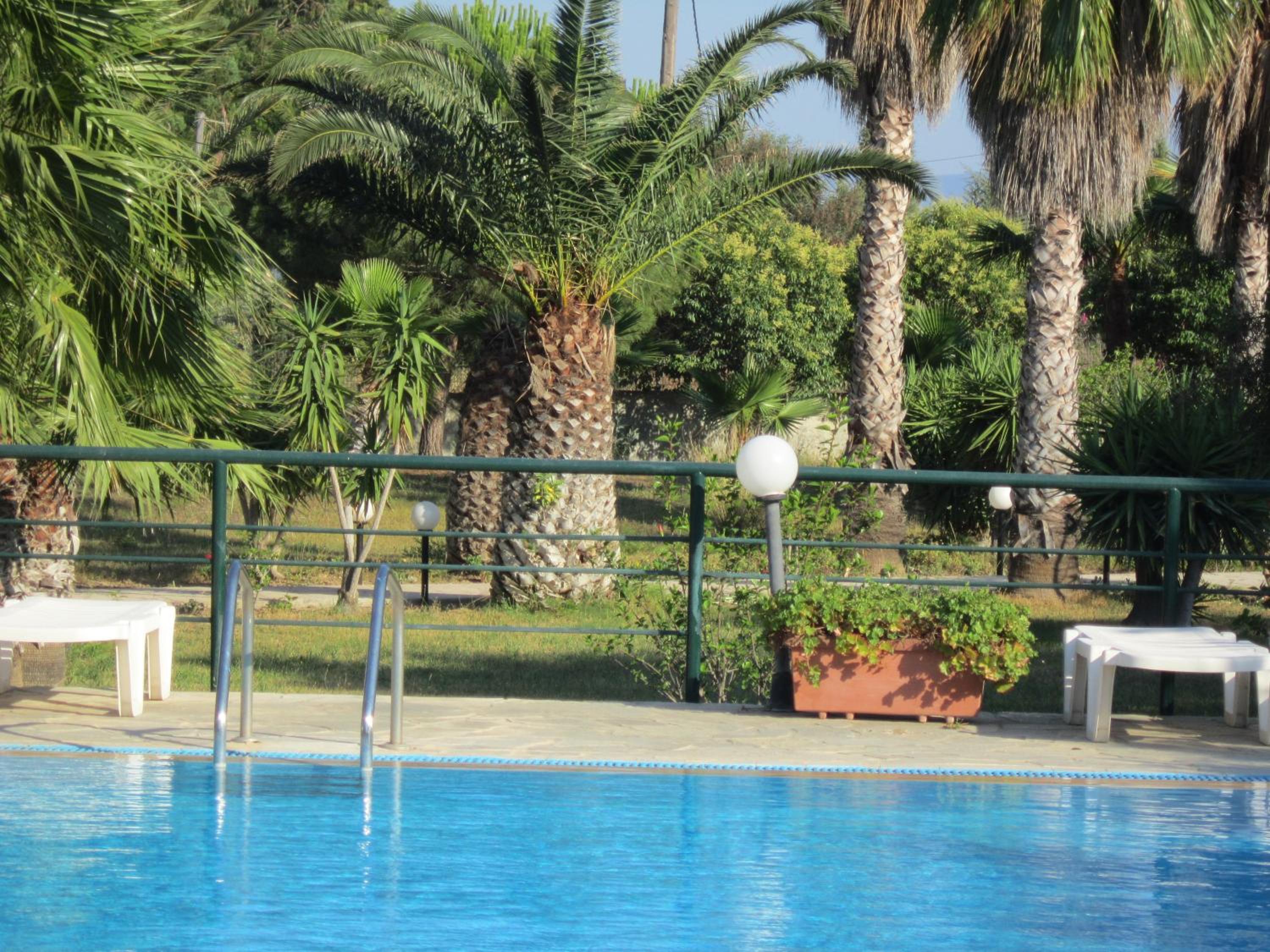 Apartments Seagull photo 4