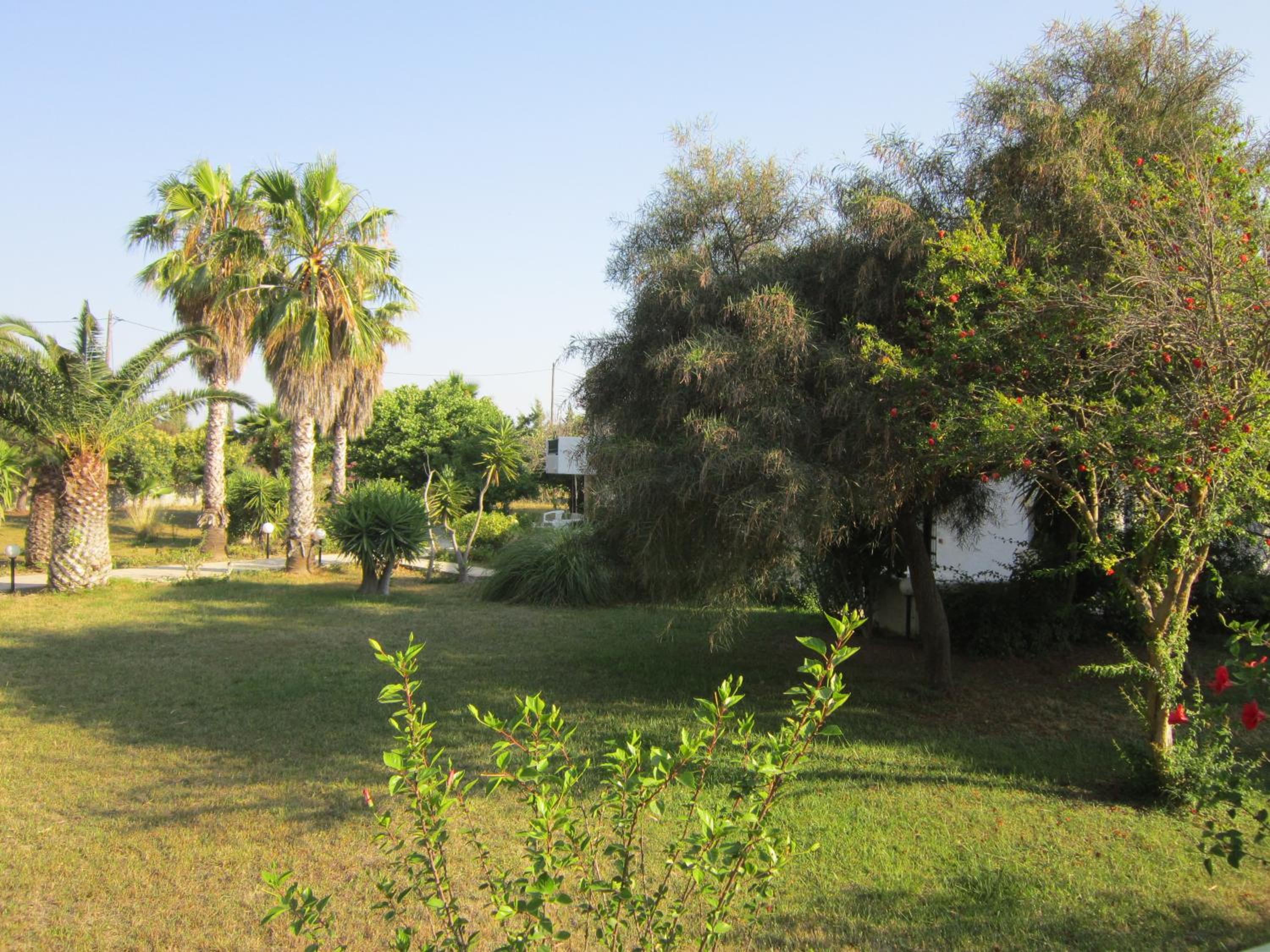 Photo 20
