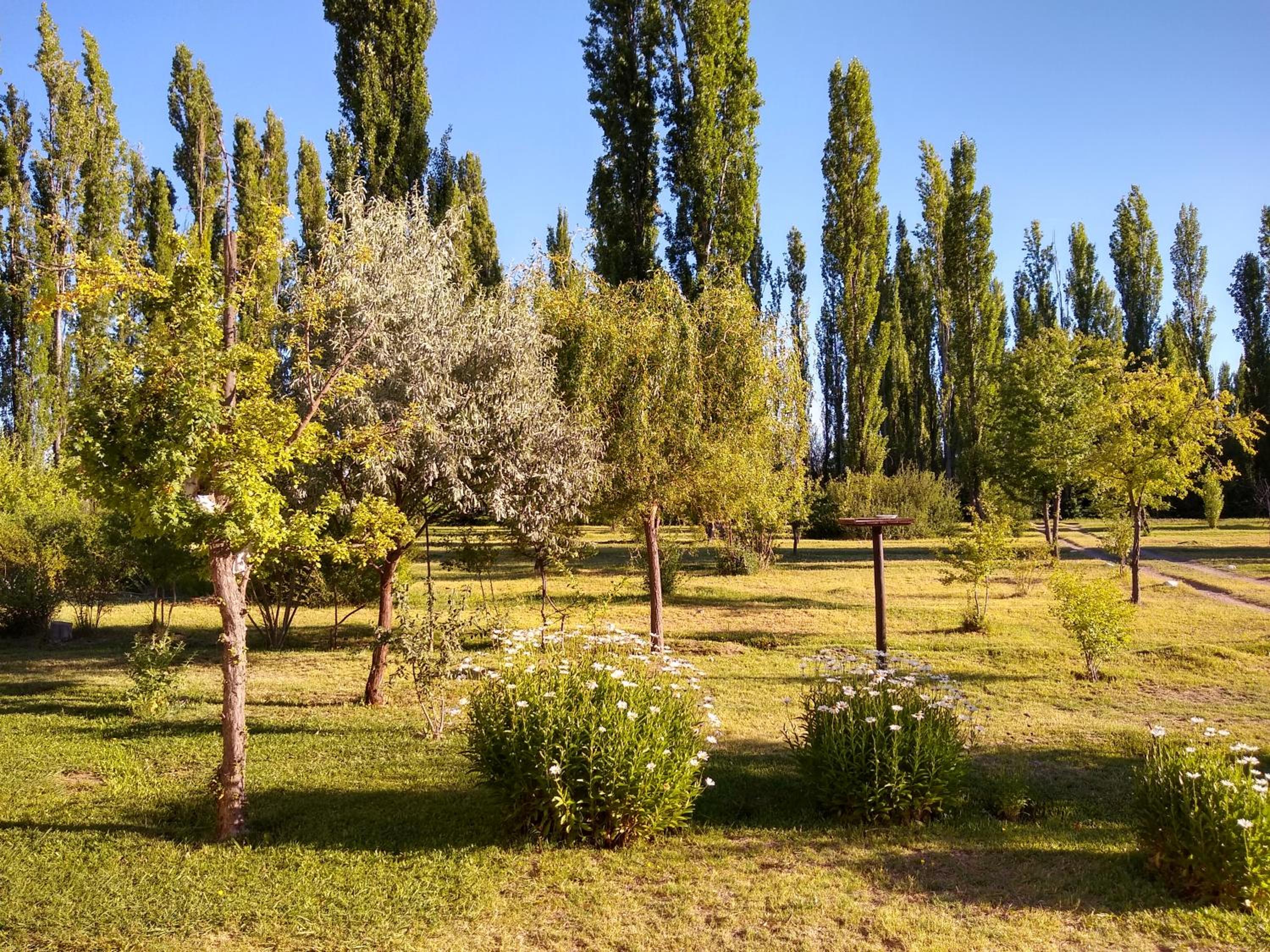 Finca La Penúltima-Posada