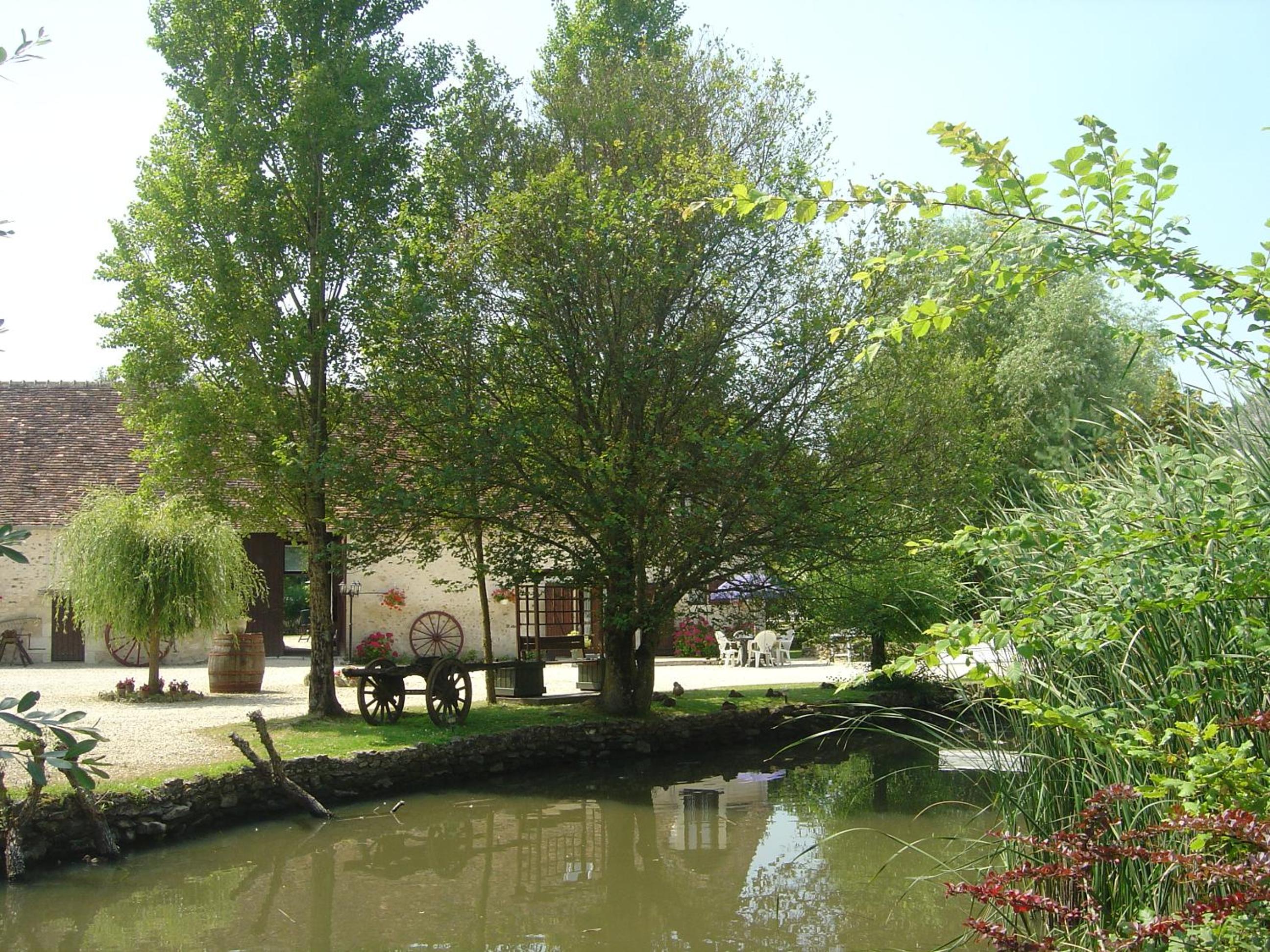Photo 14