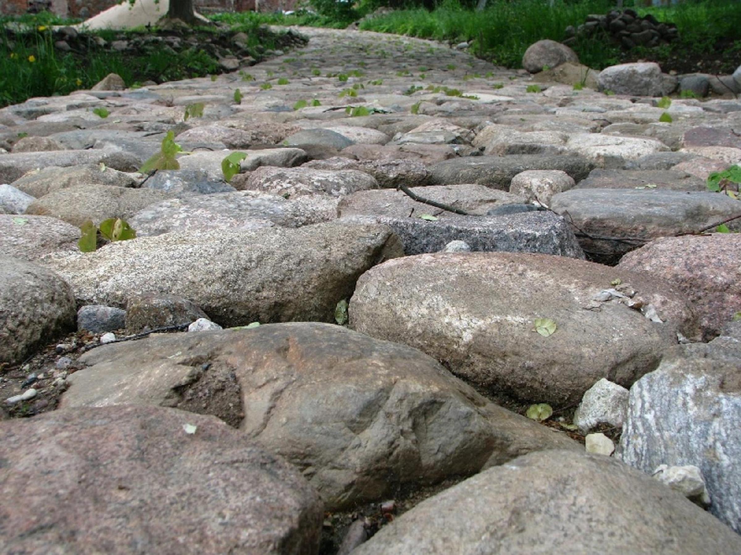 Torma Puhkemaja ja Glämping