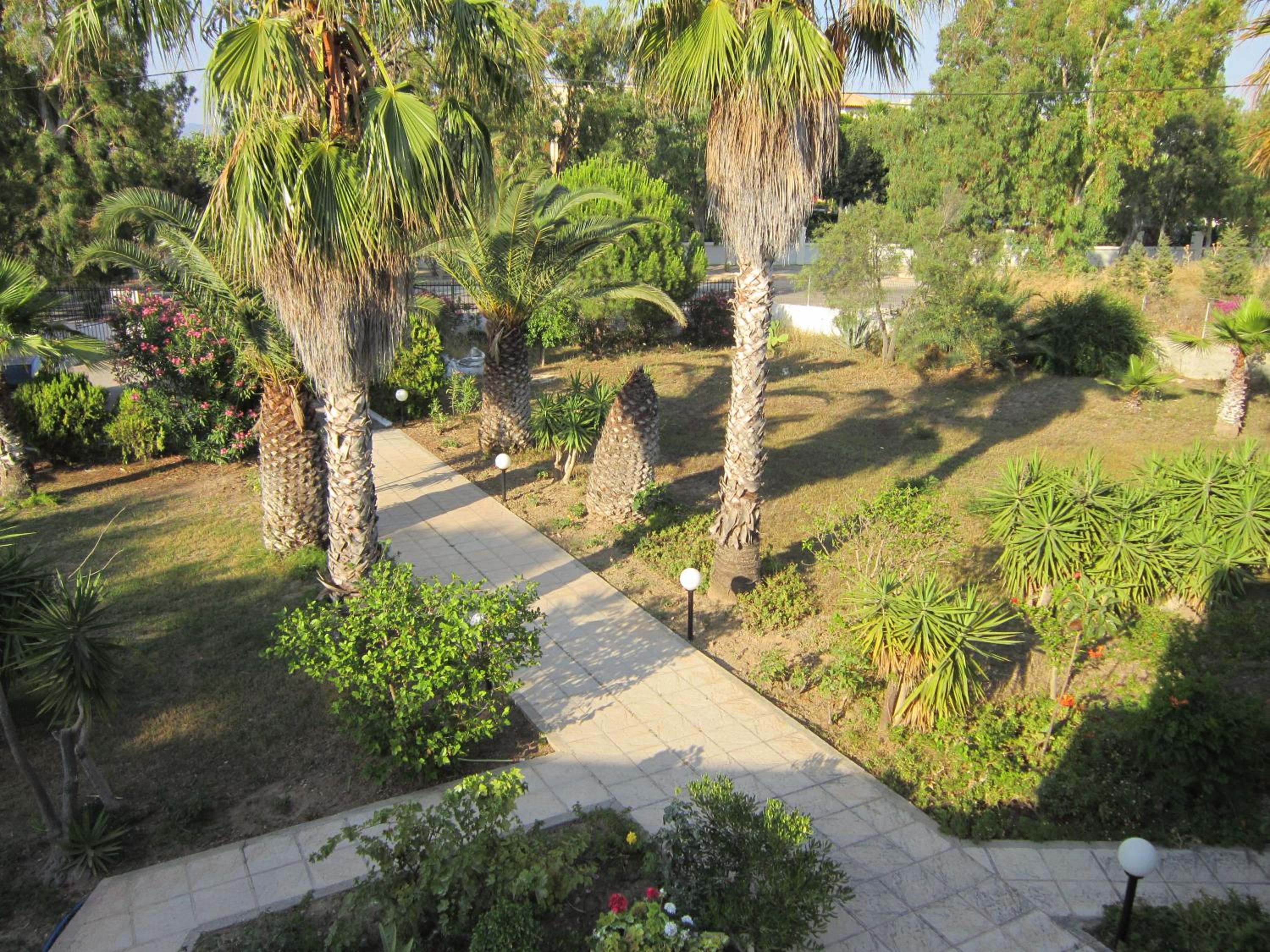Photo 8