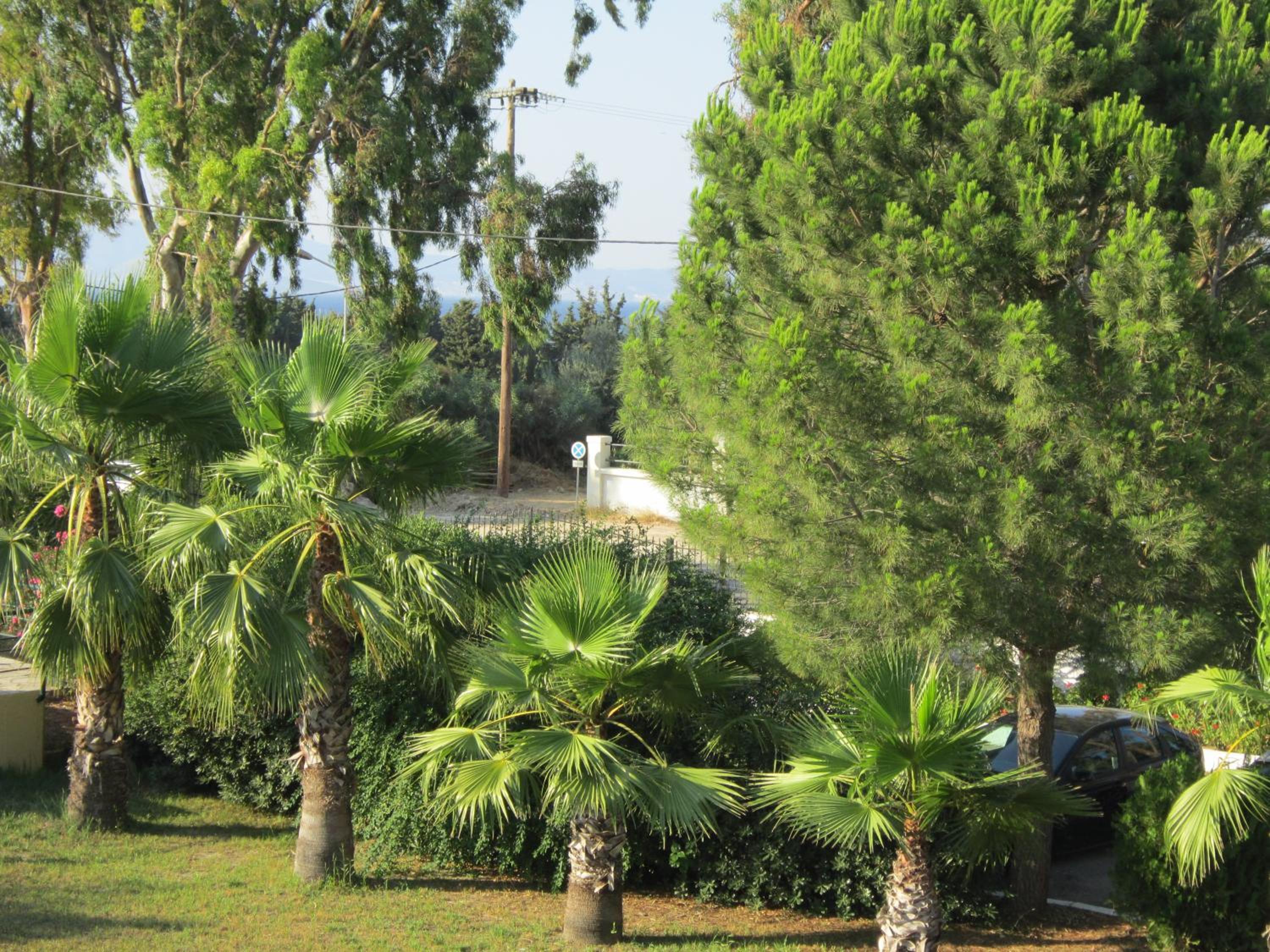 Photo 27