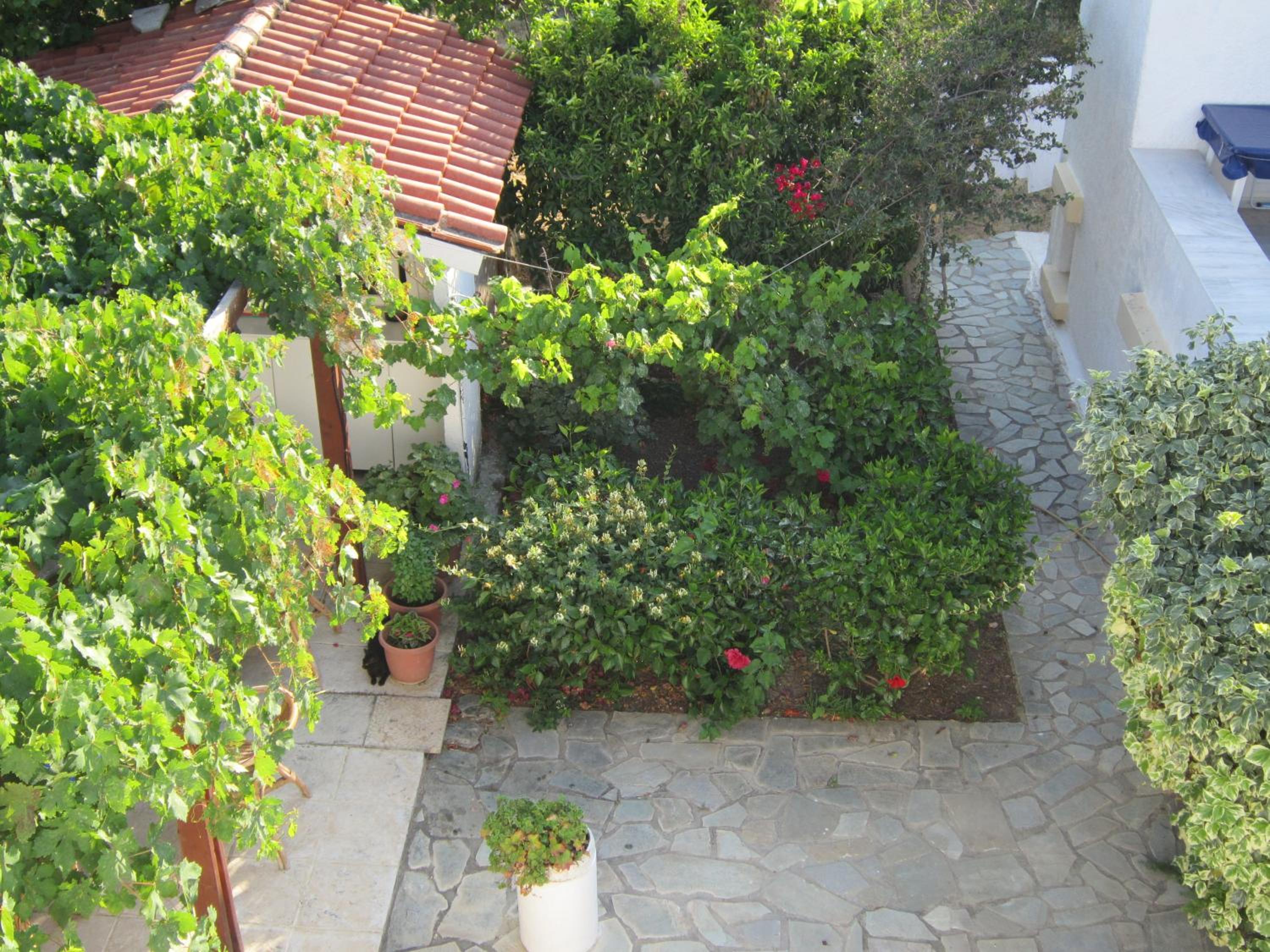 Photo 30