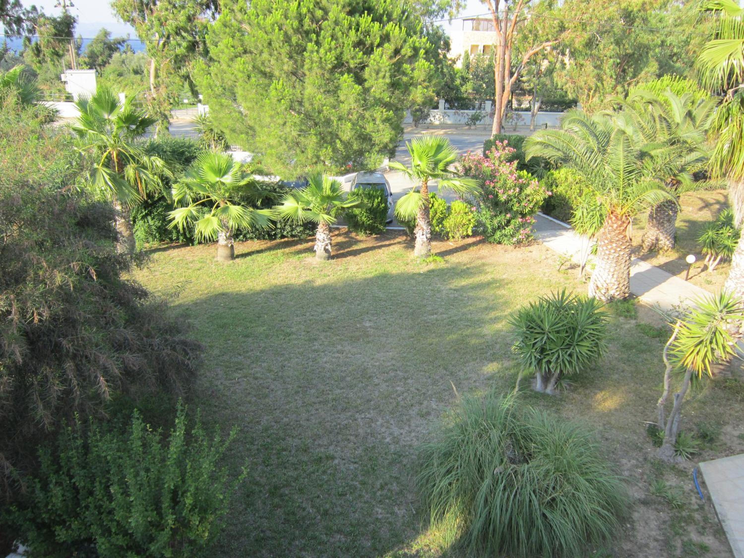 Photo 31