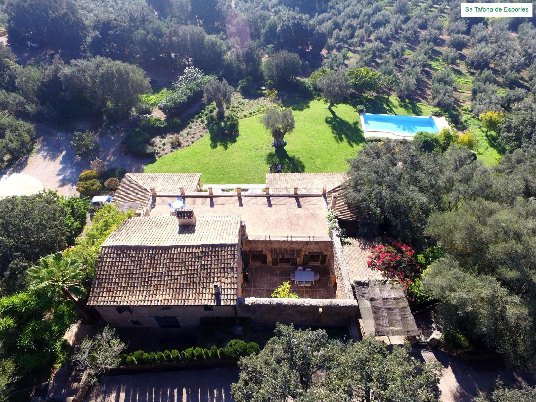 Photo 93