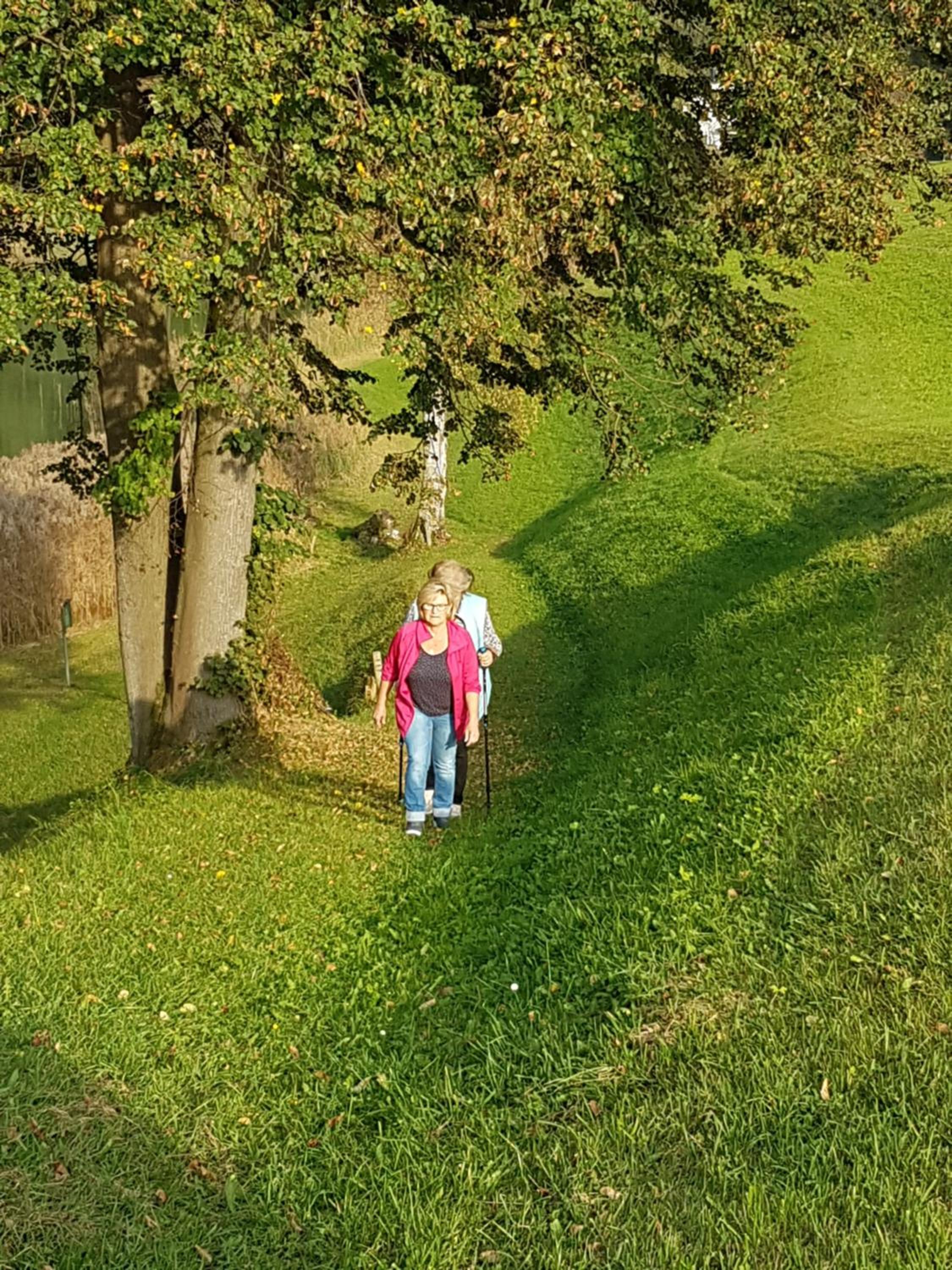 Hanslerfeld