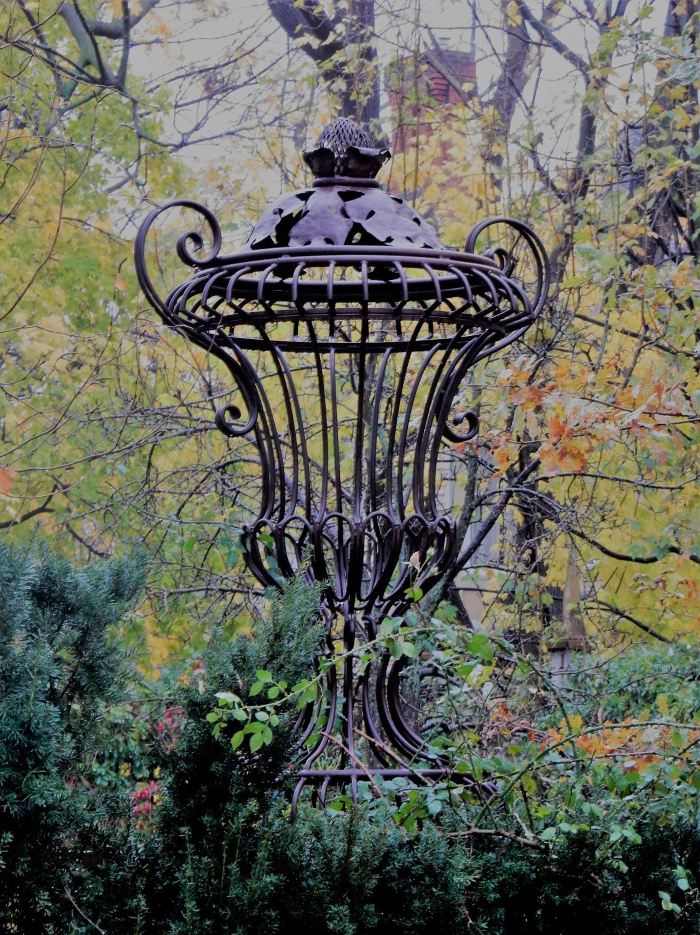 Old Ivy Walk, photo 24