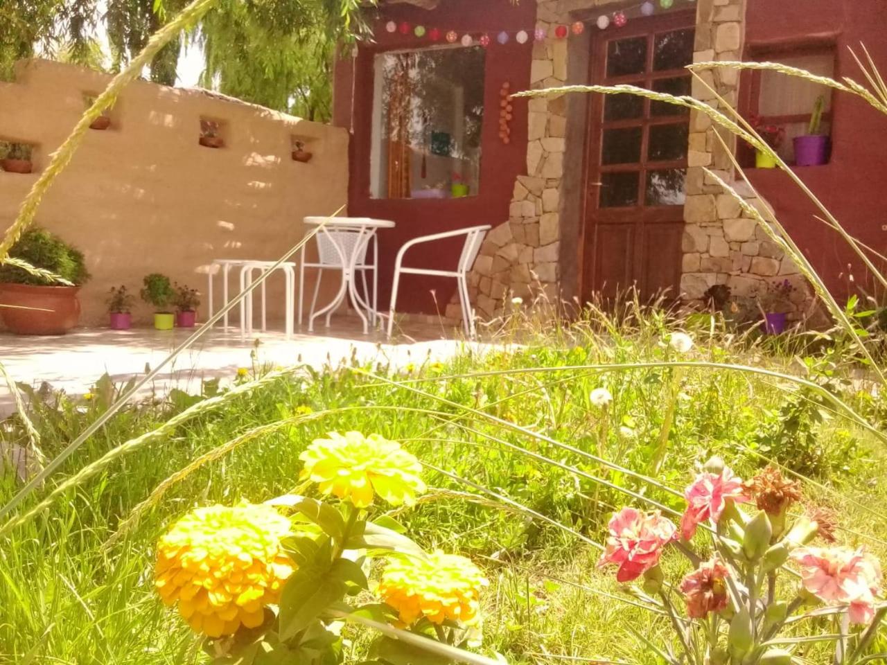 Cabaña El Cardón,casita en el campo quebradeño