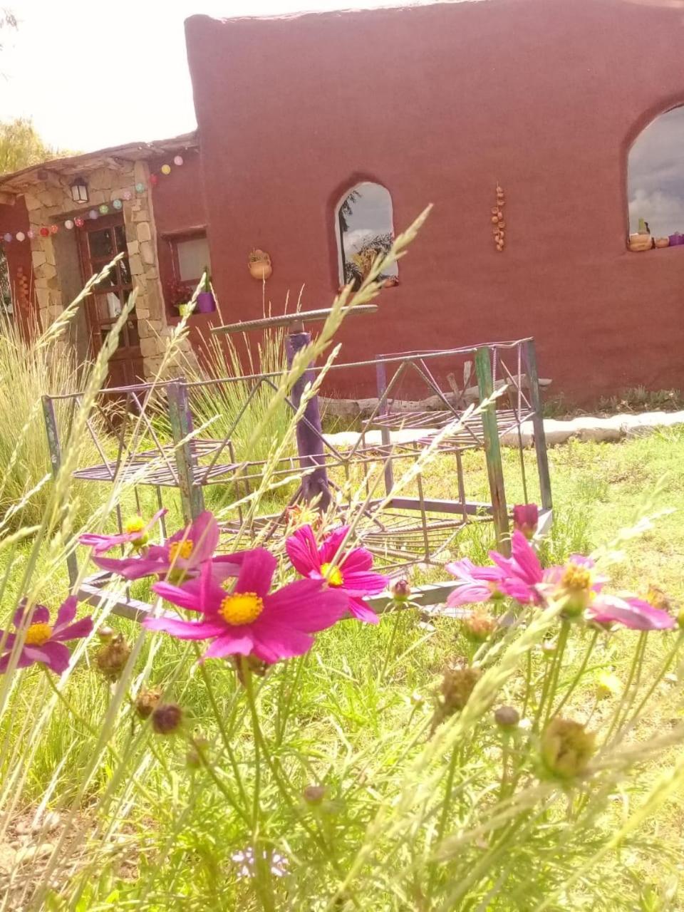 Cabaña El Cardón,casita en el campo quebradeño
