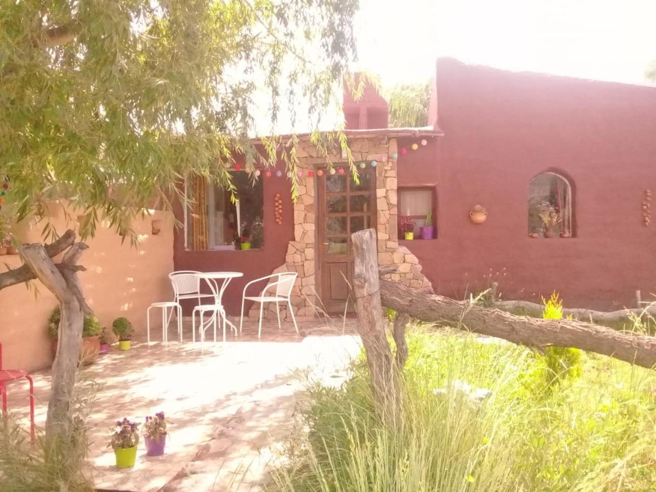 Cabaña El Cardón,casita en el campo quebradeño