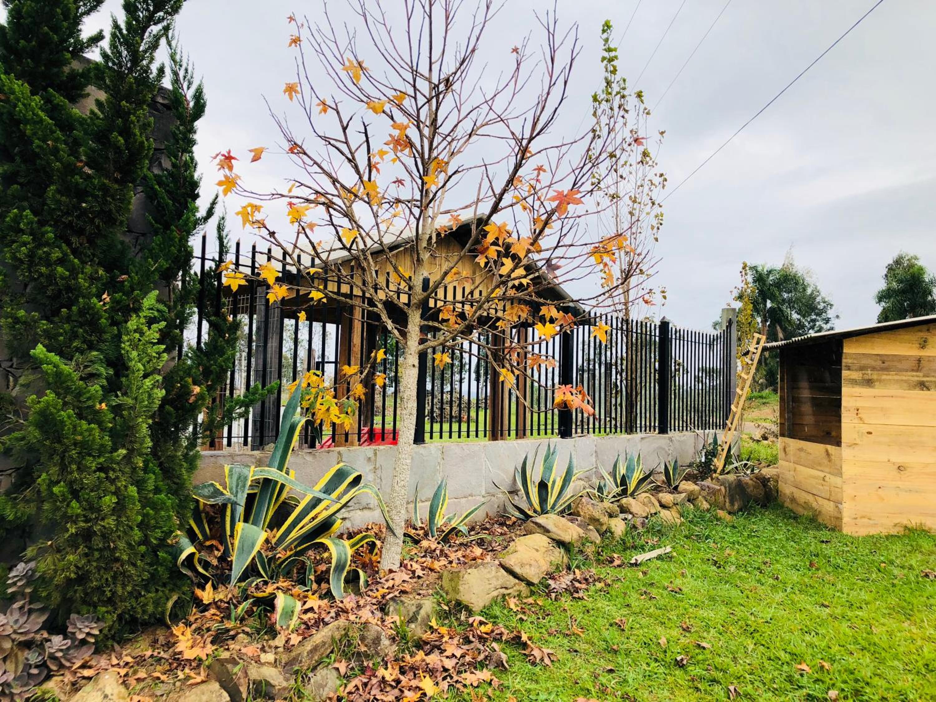Casa de Ines em Santana