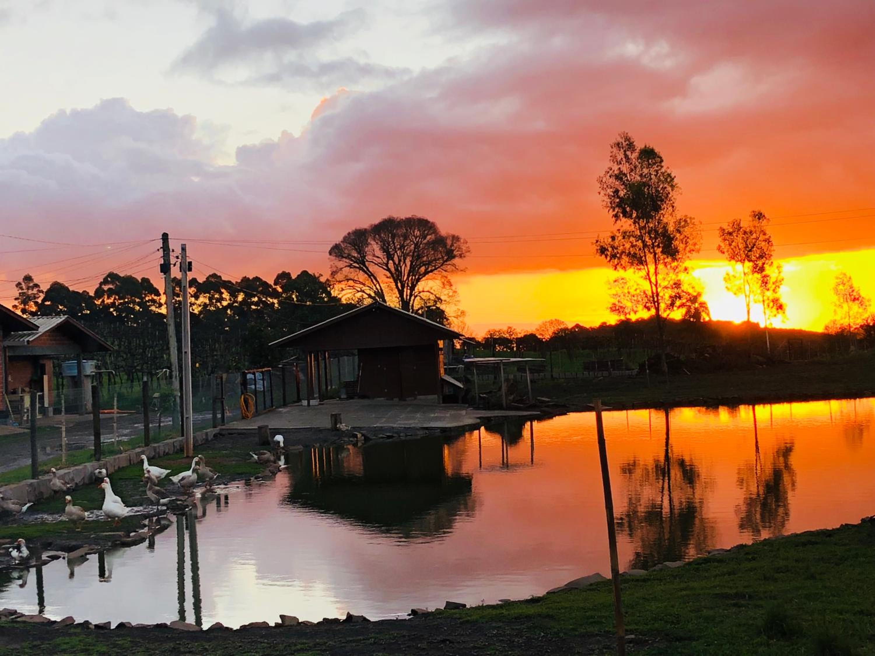Casa de Ines em Santana
